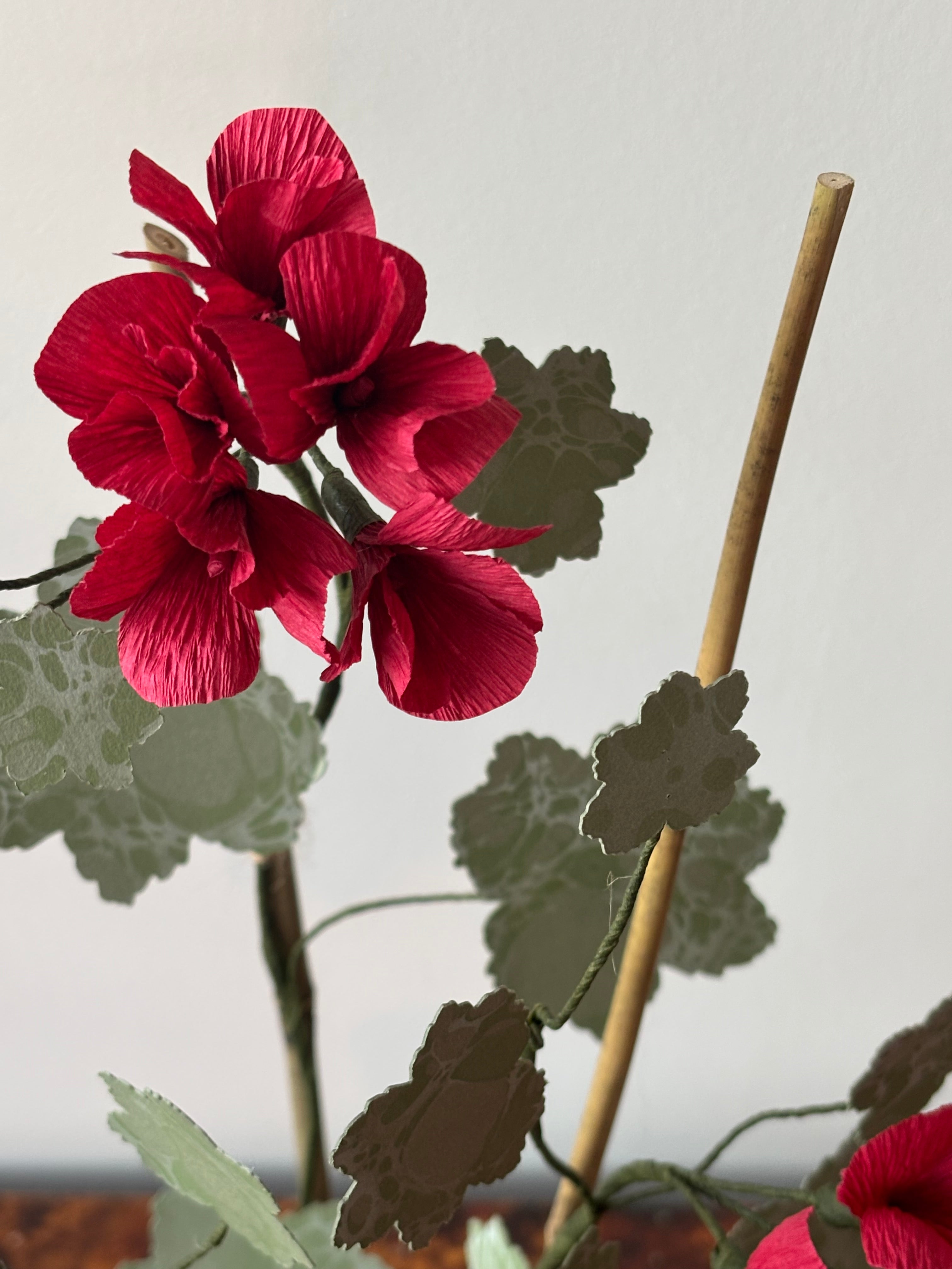 Paper Geranium