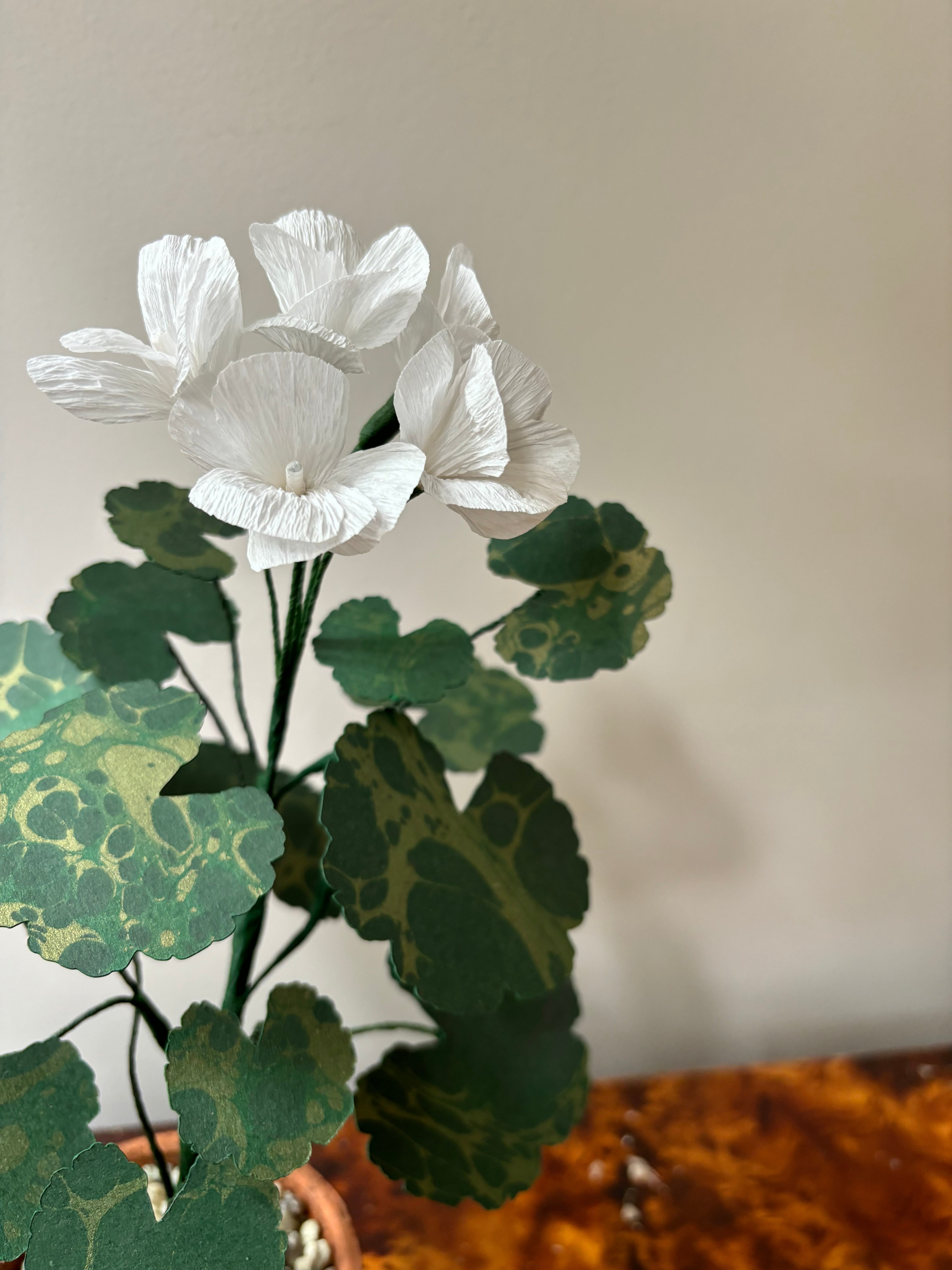 Paper Geranium