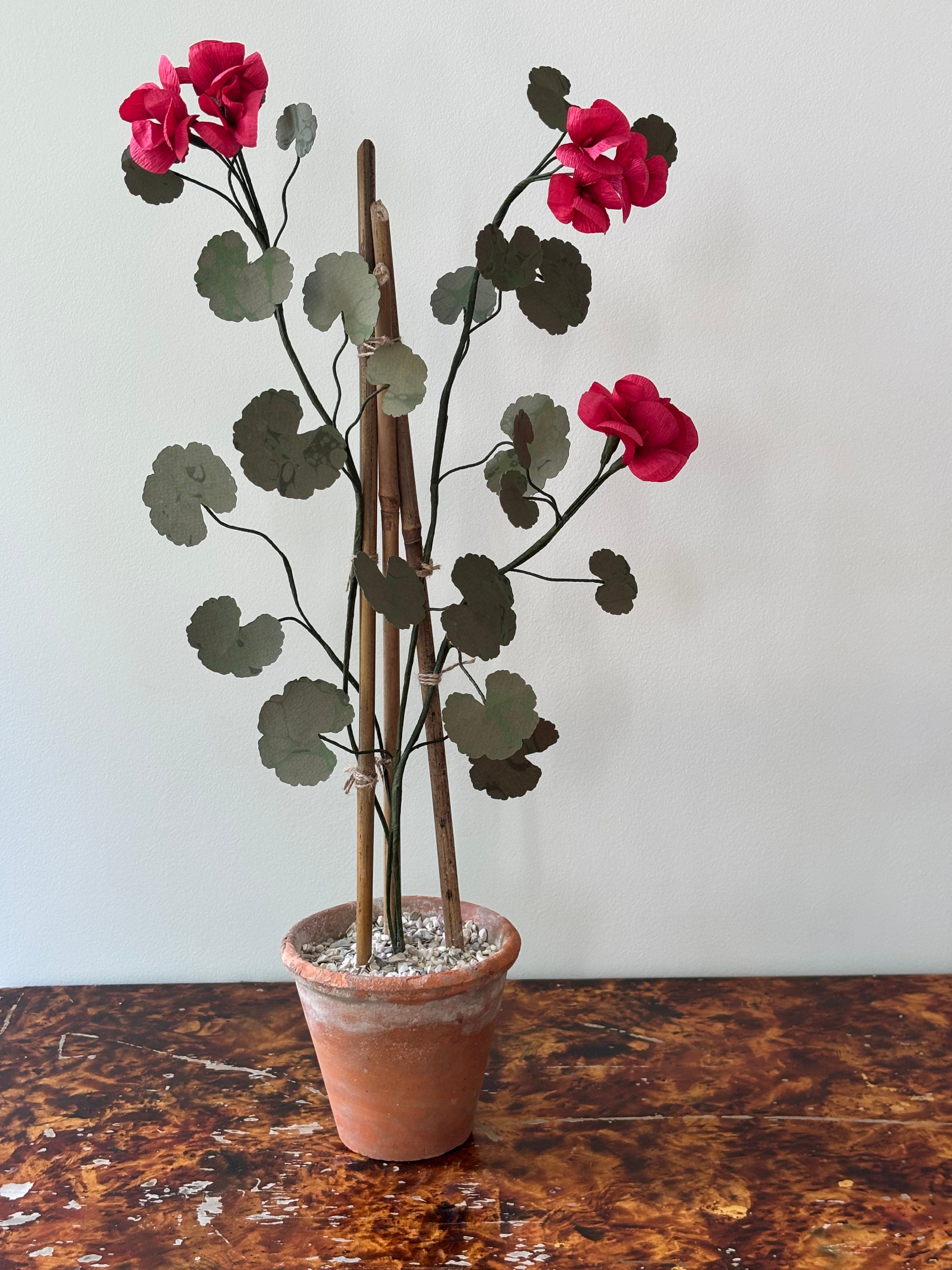 Paper Geranium