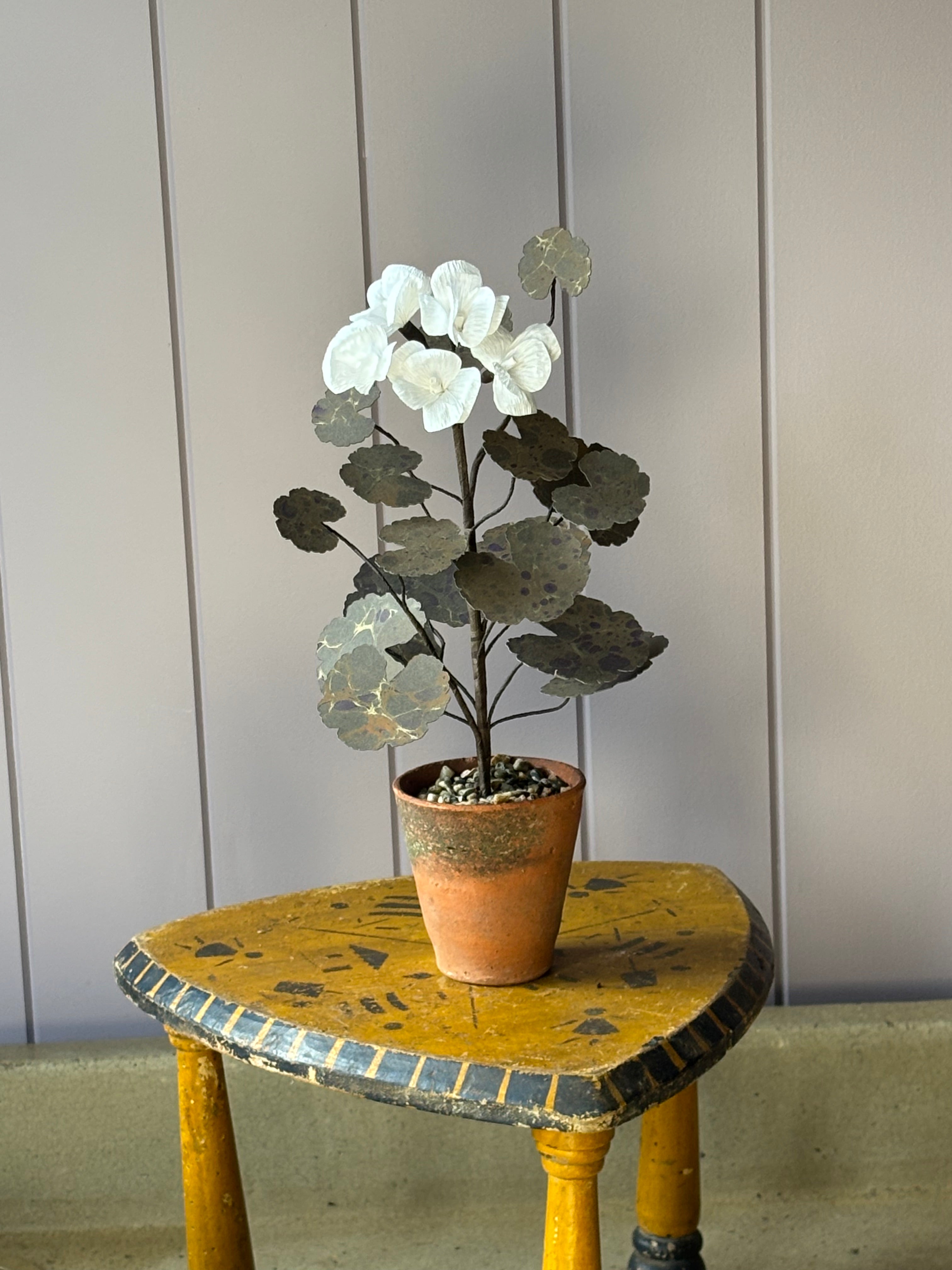 Paper Geranium