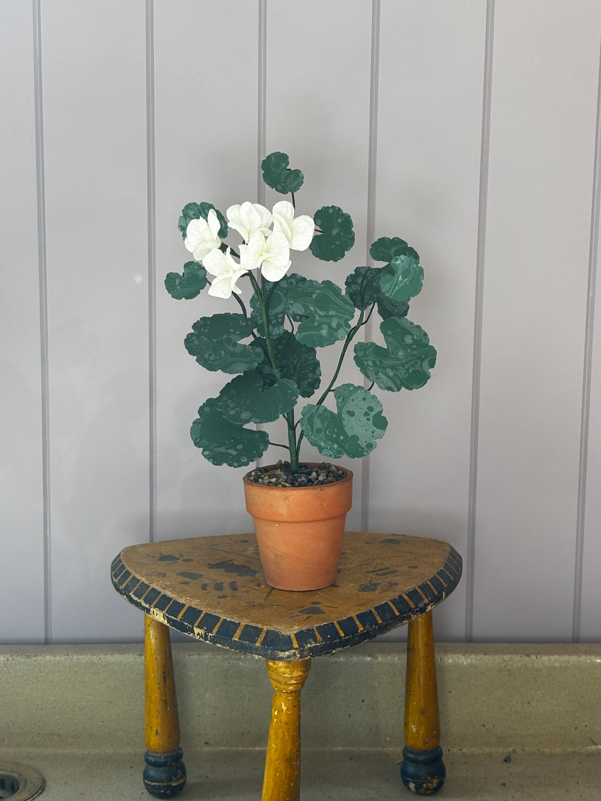 Paper geranium