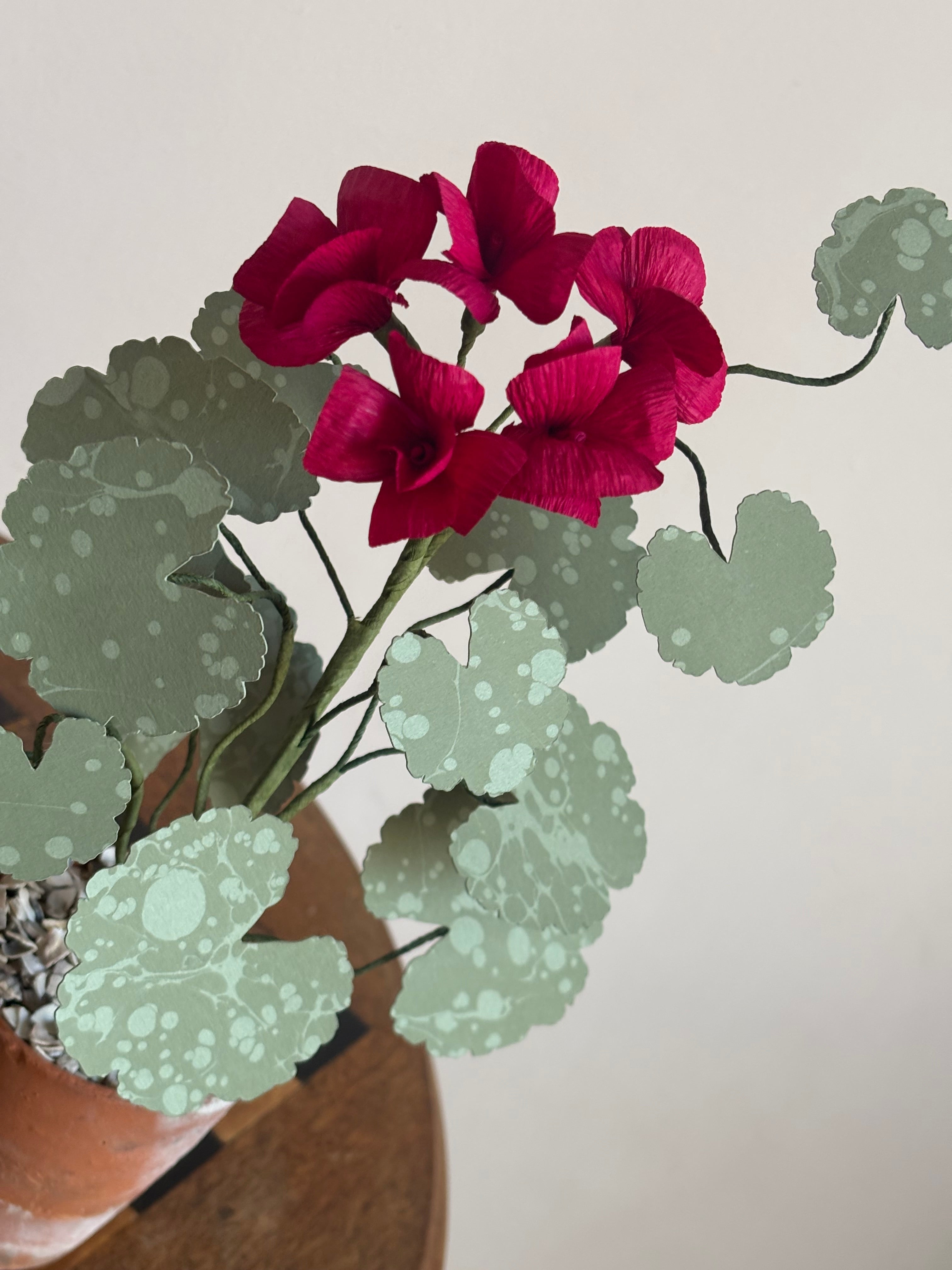 Paper Geranium