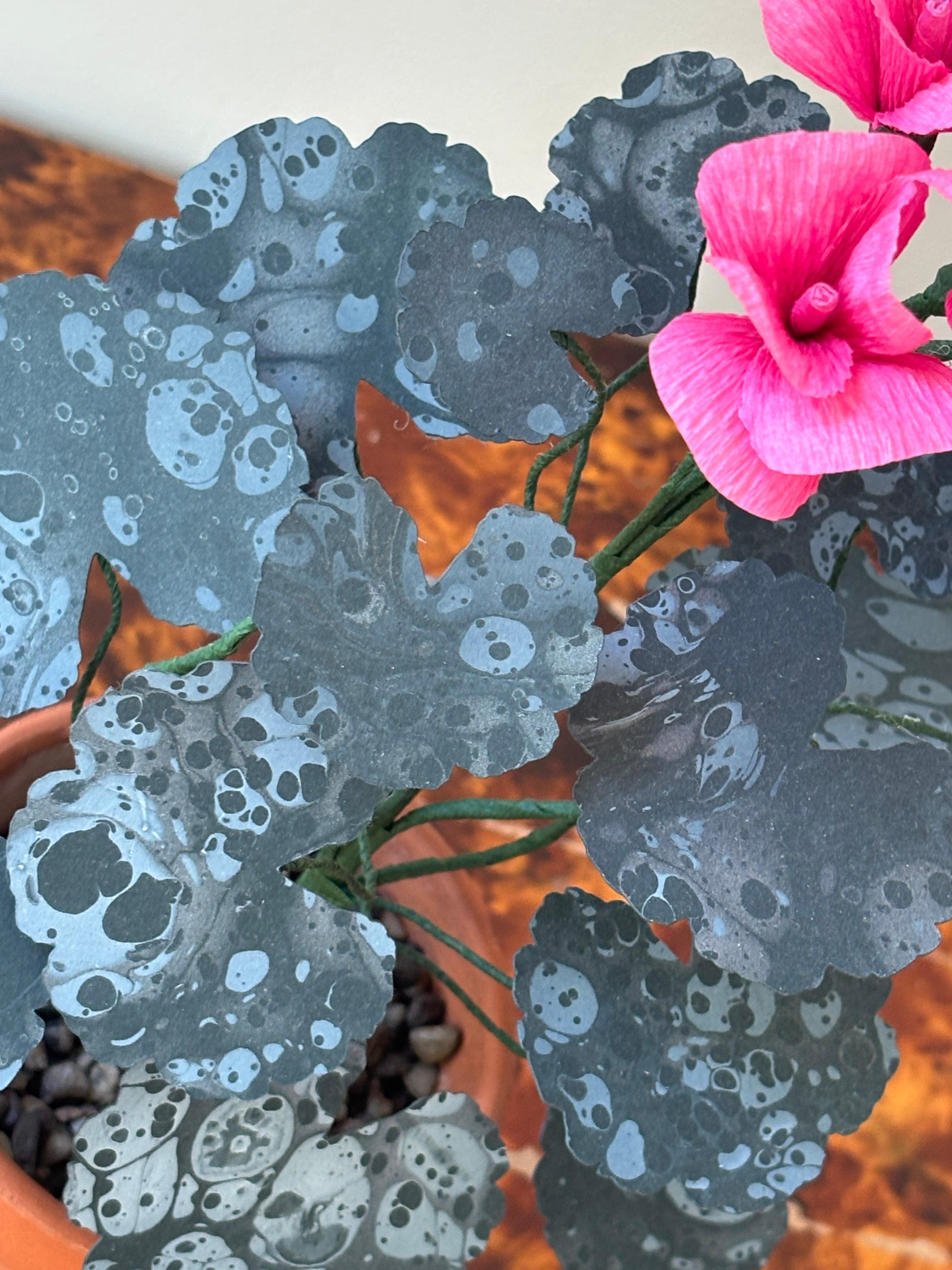 Paper Geranium