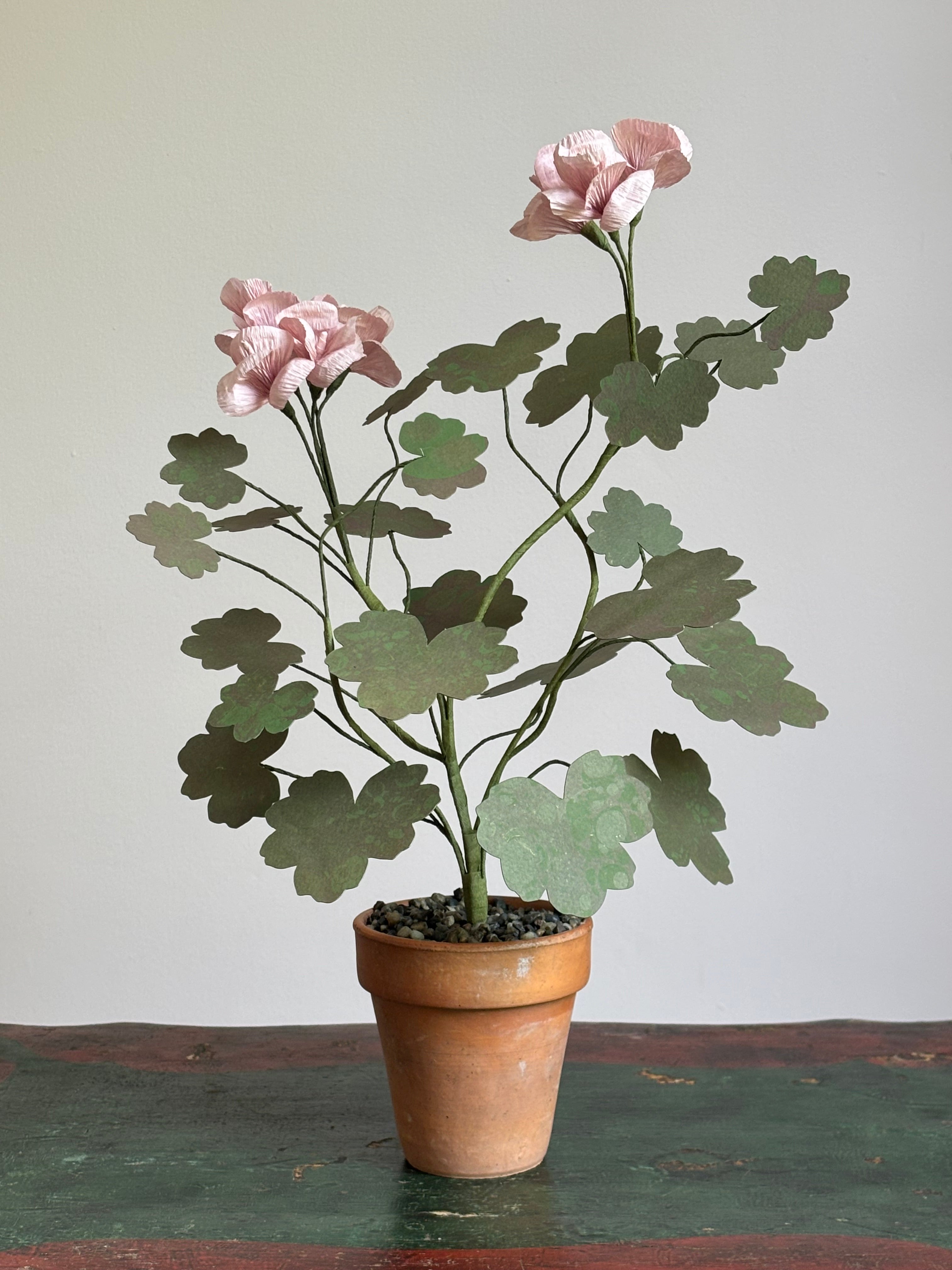 Paper Geranium