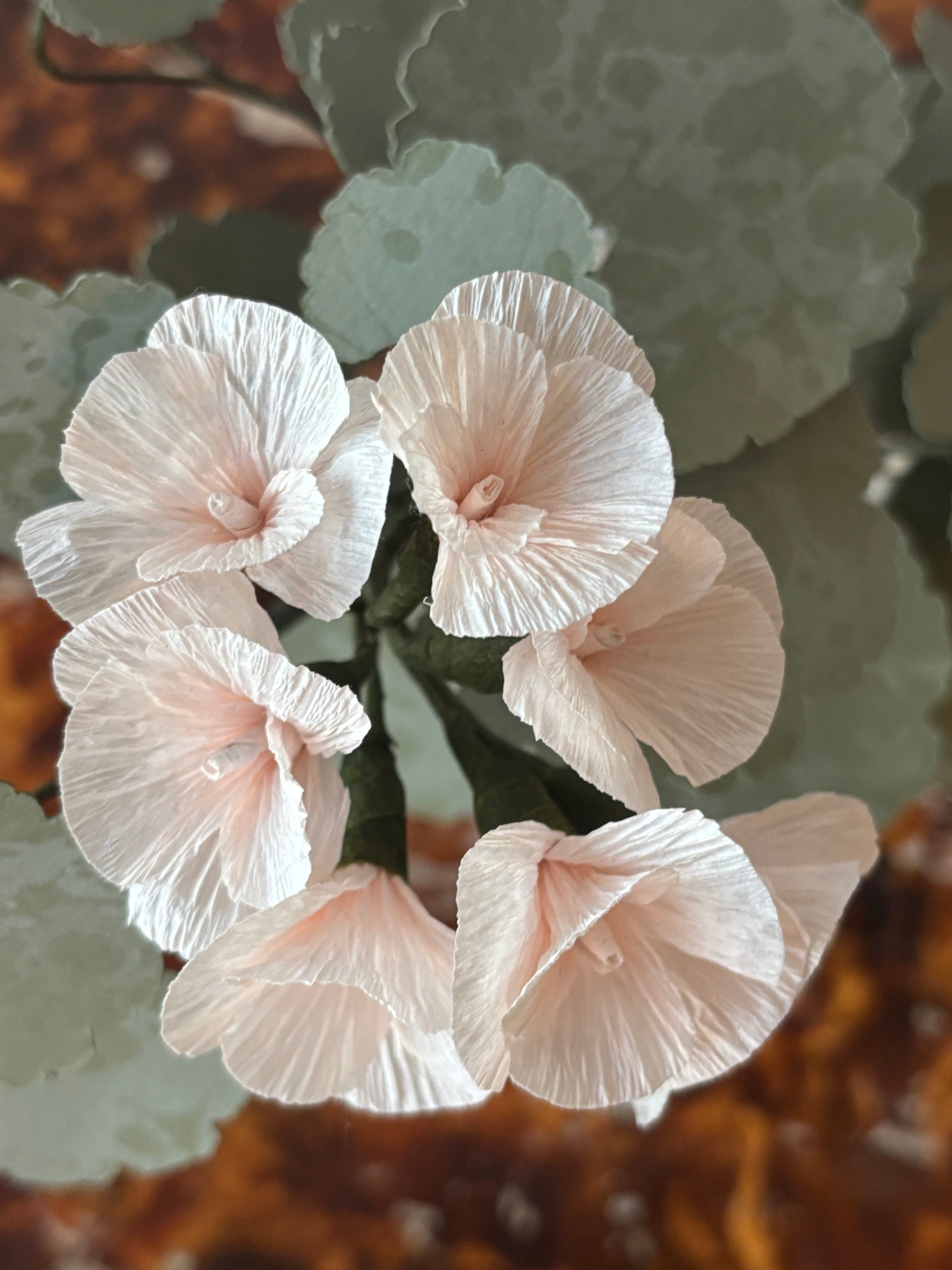 Paper Geranium