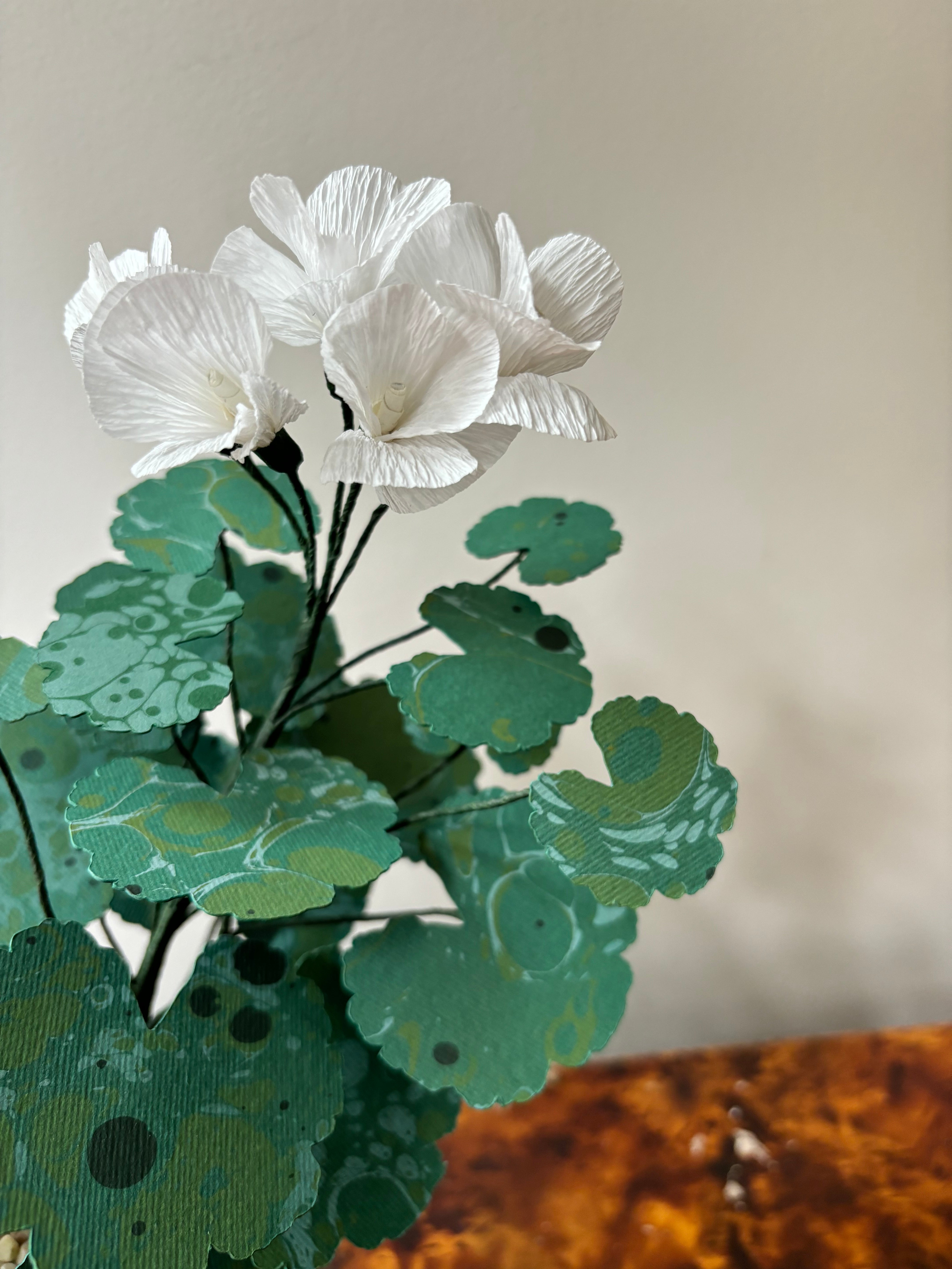 Paper Geranium