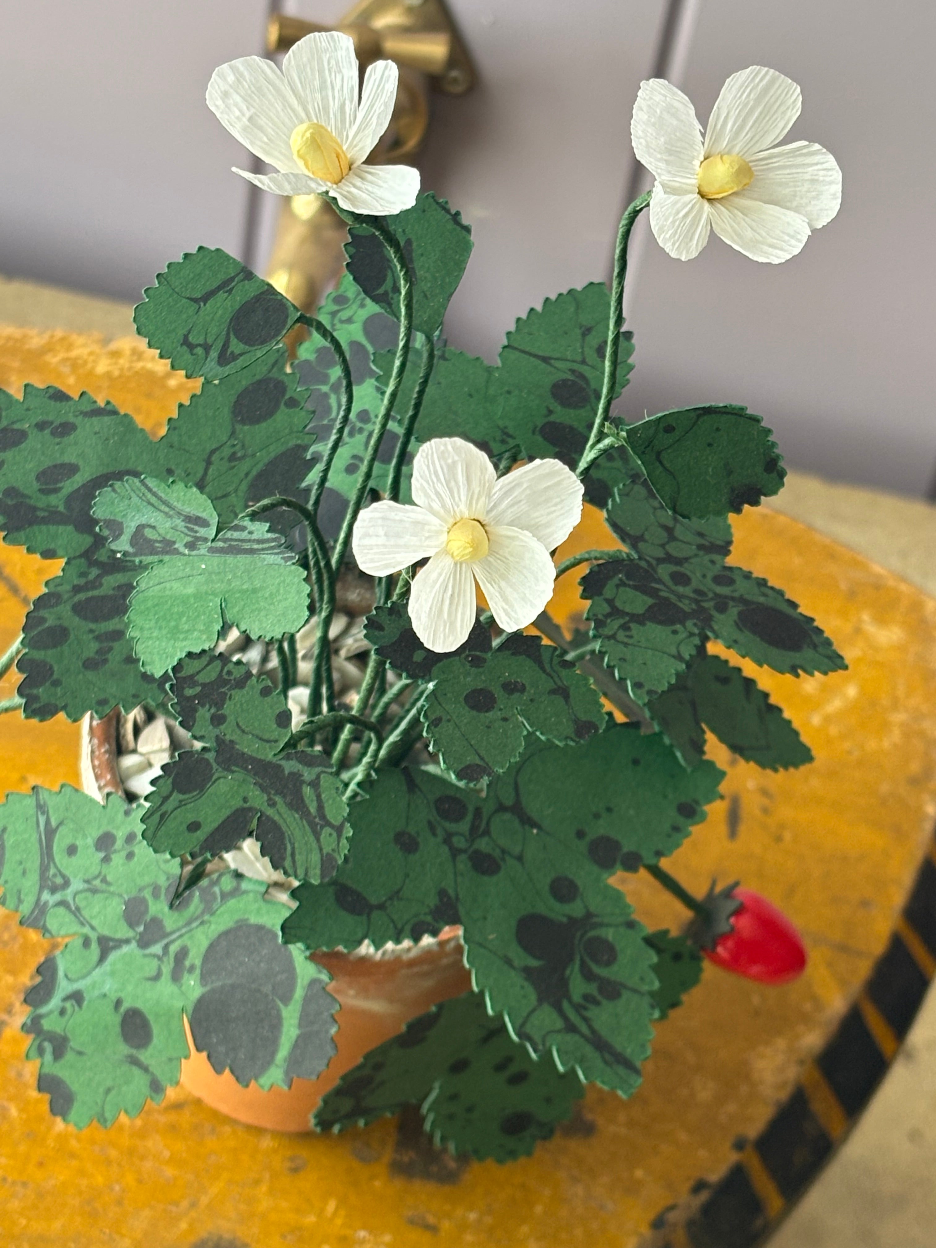 Paper wild strawberry
