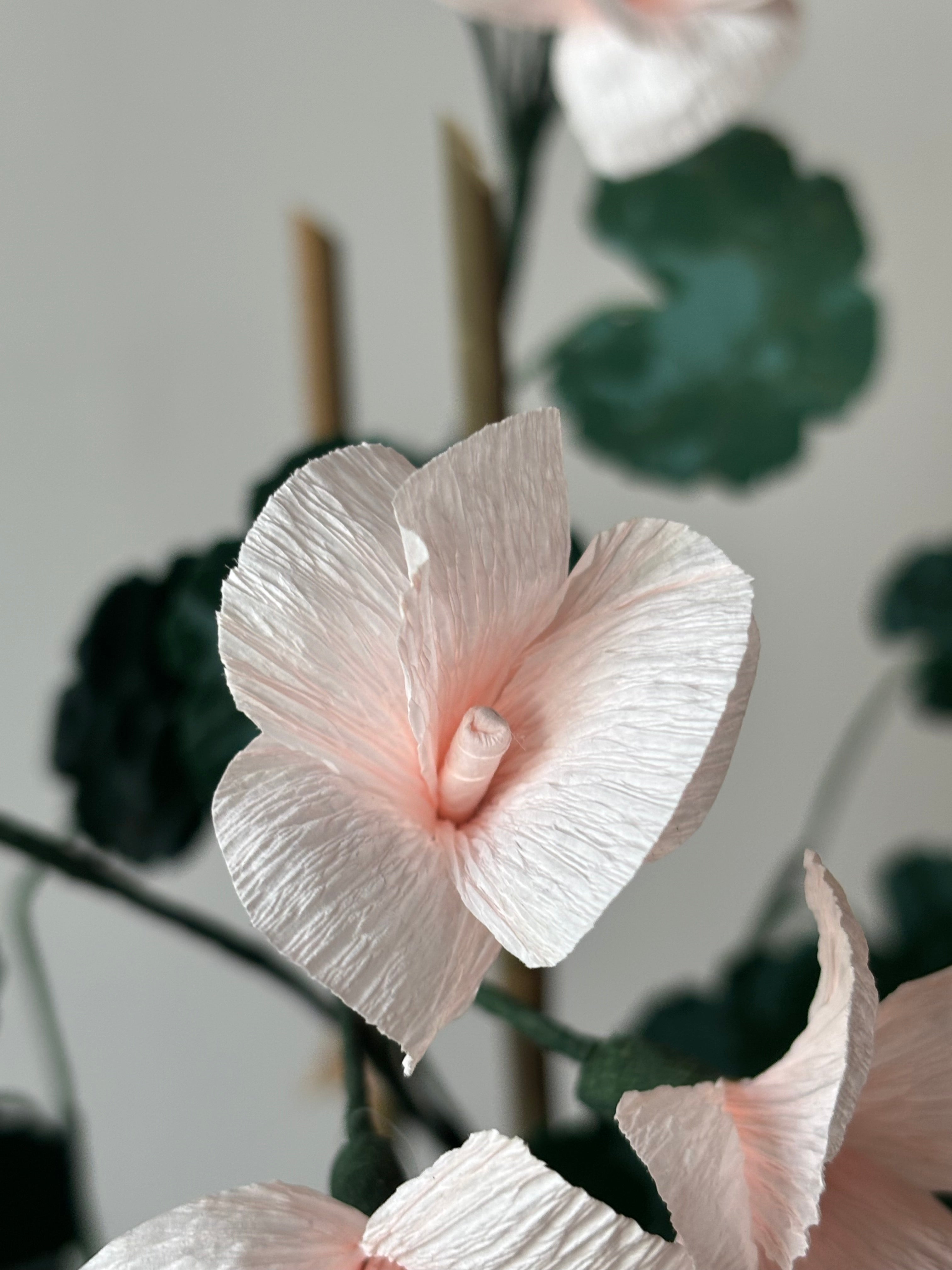 Paper Geranium