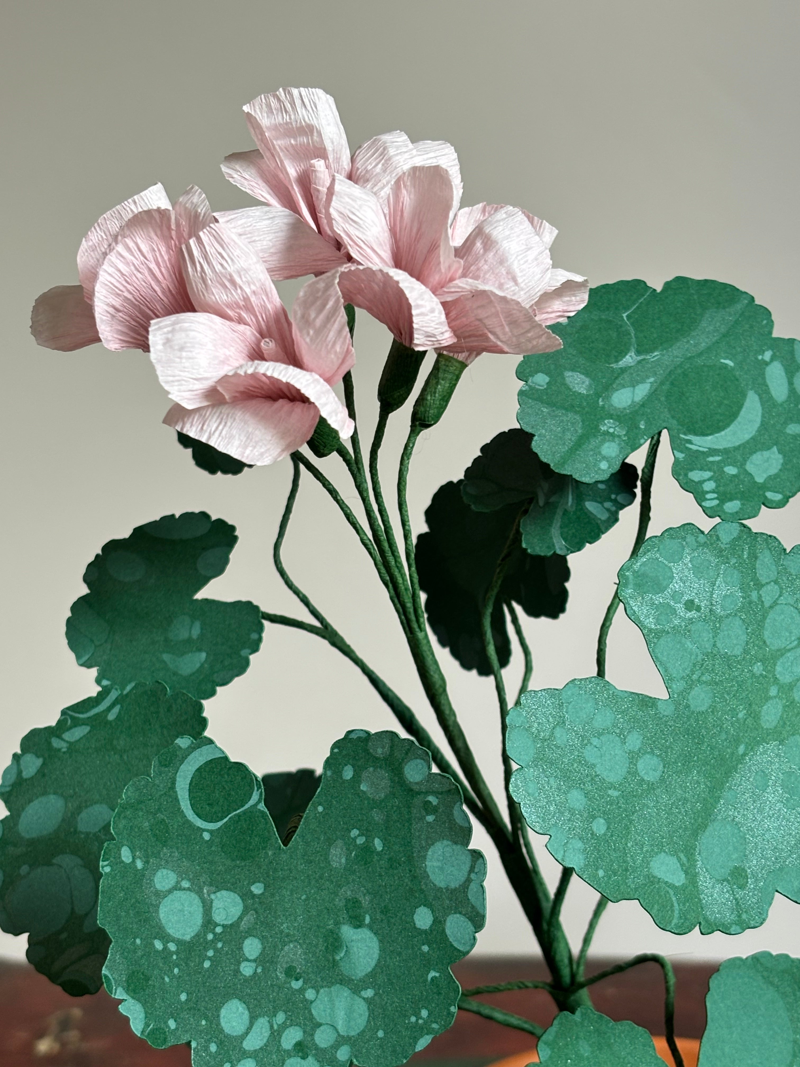 Paper Geranium