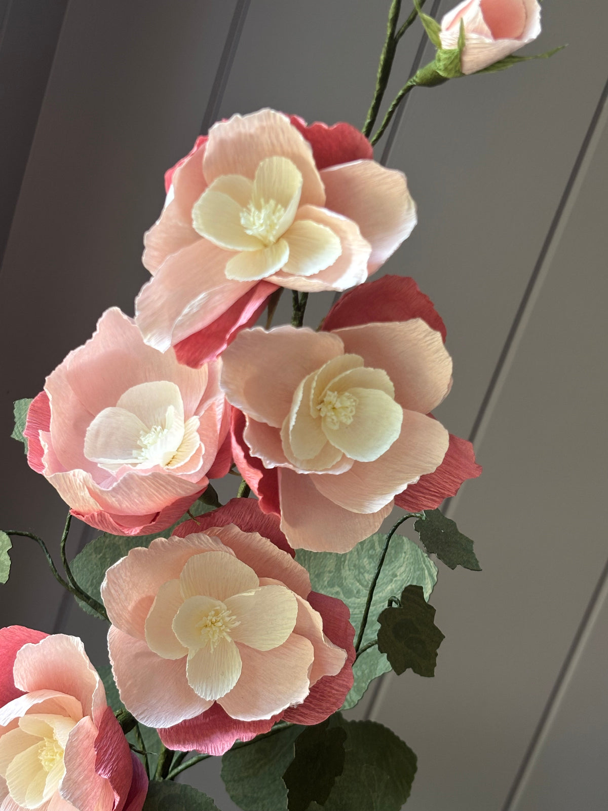 Paper Hollyhock