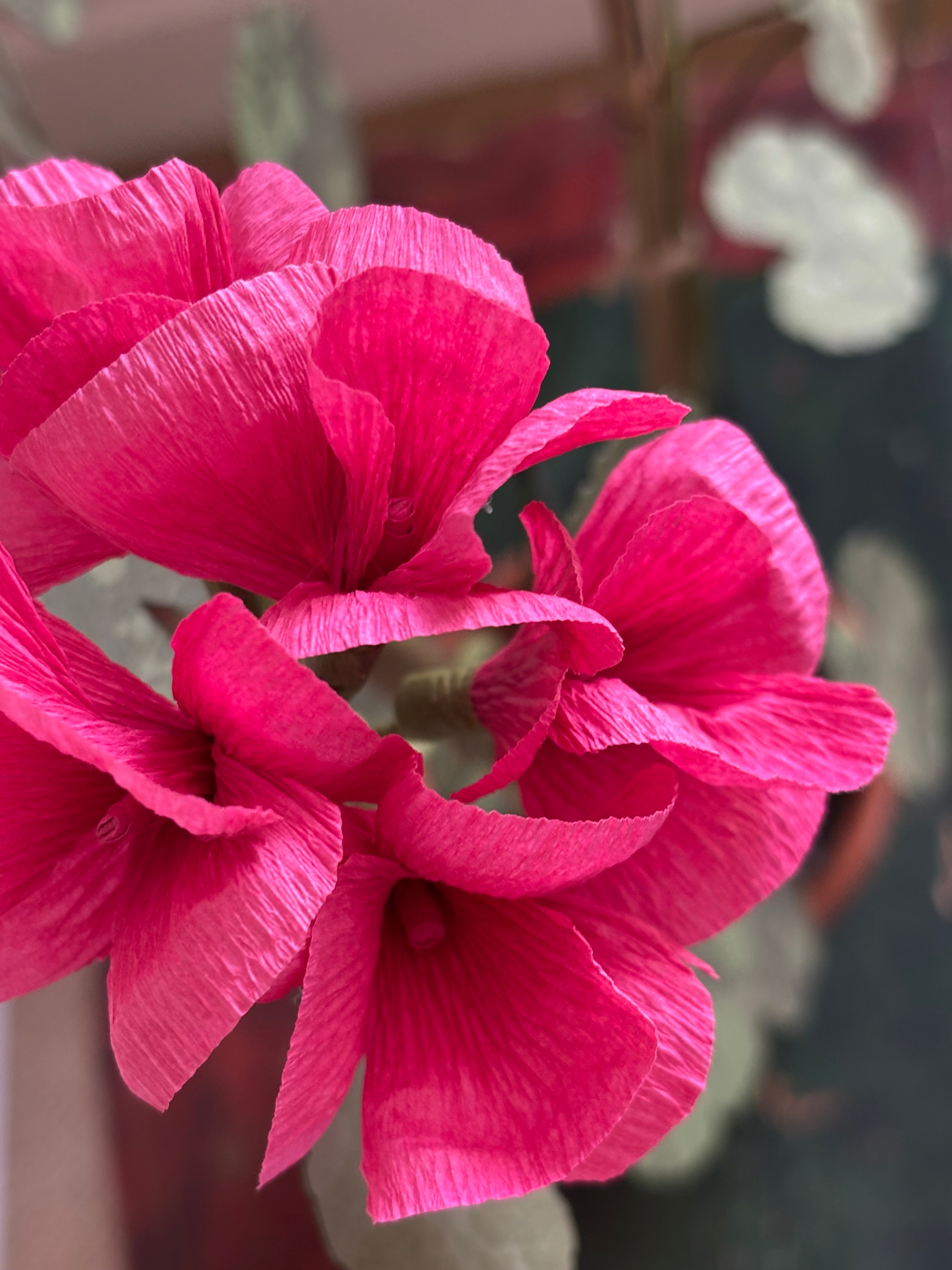 Paper Geranium