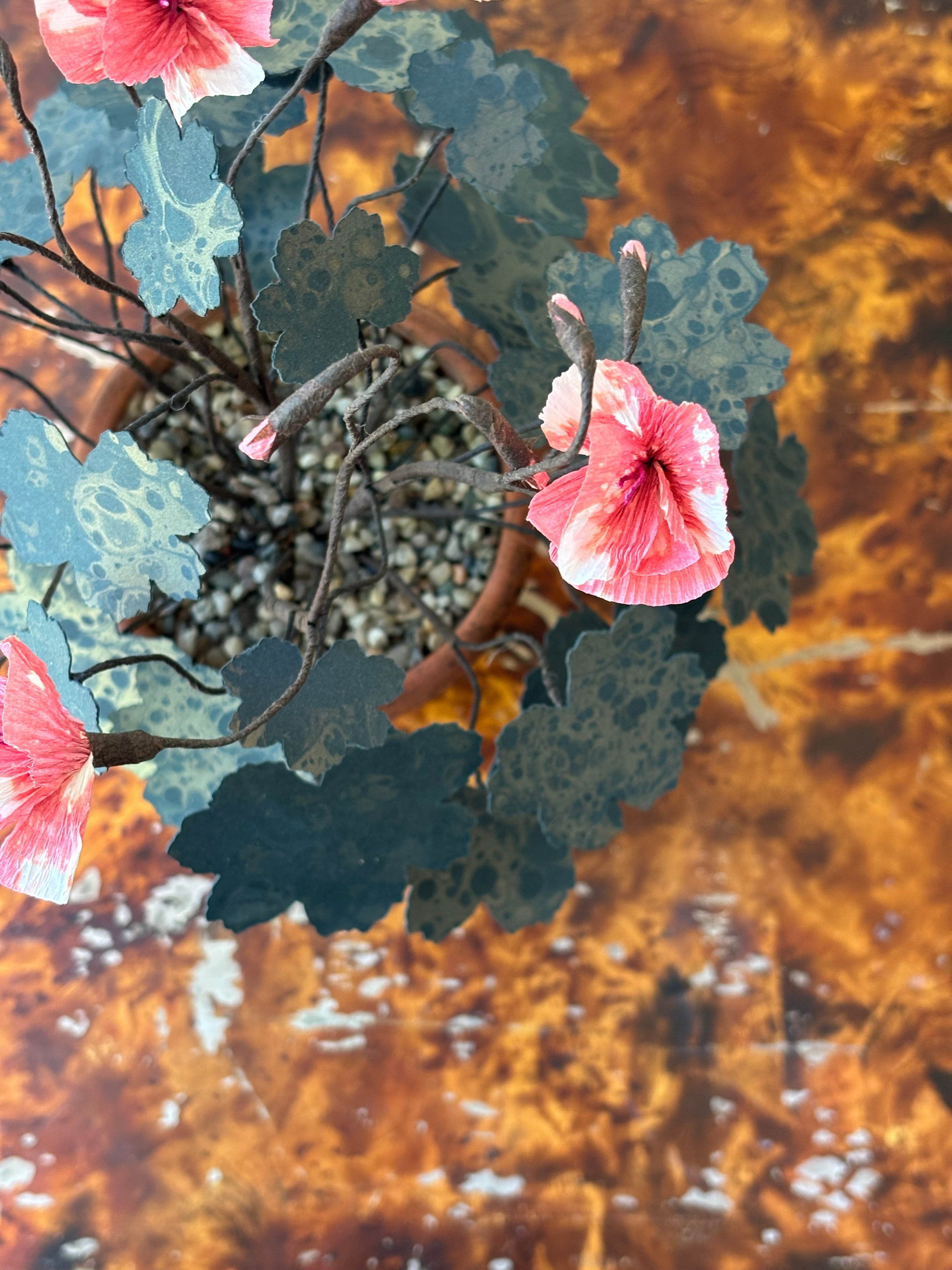 Paper Geranium