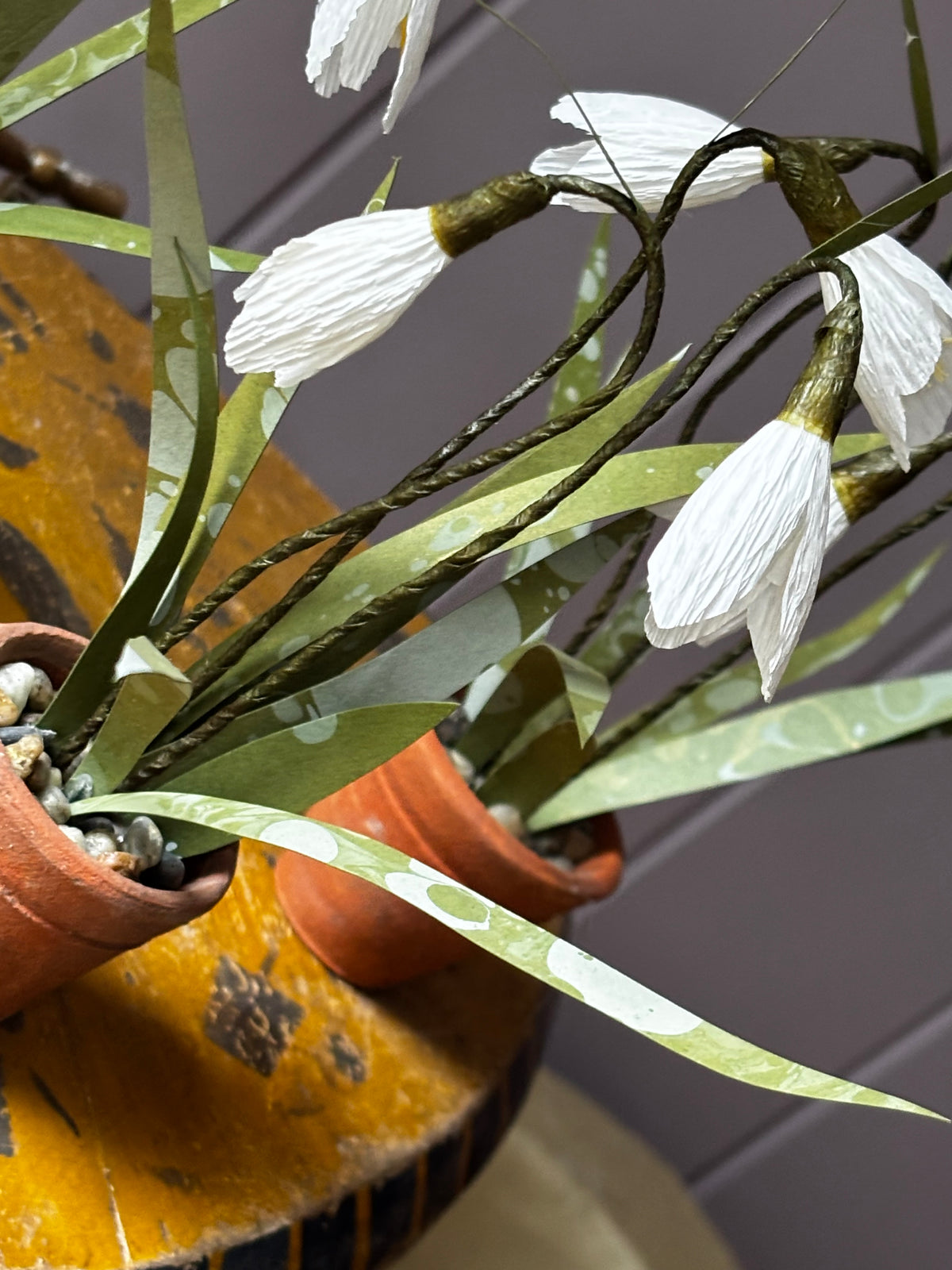 Little snowdrop (1)