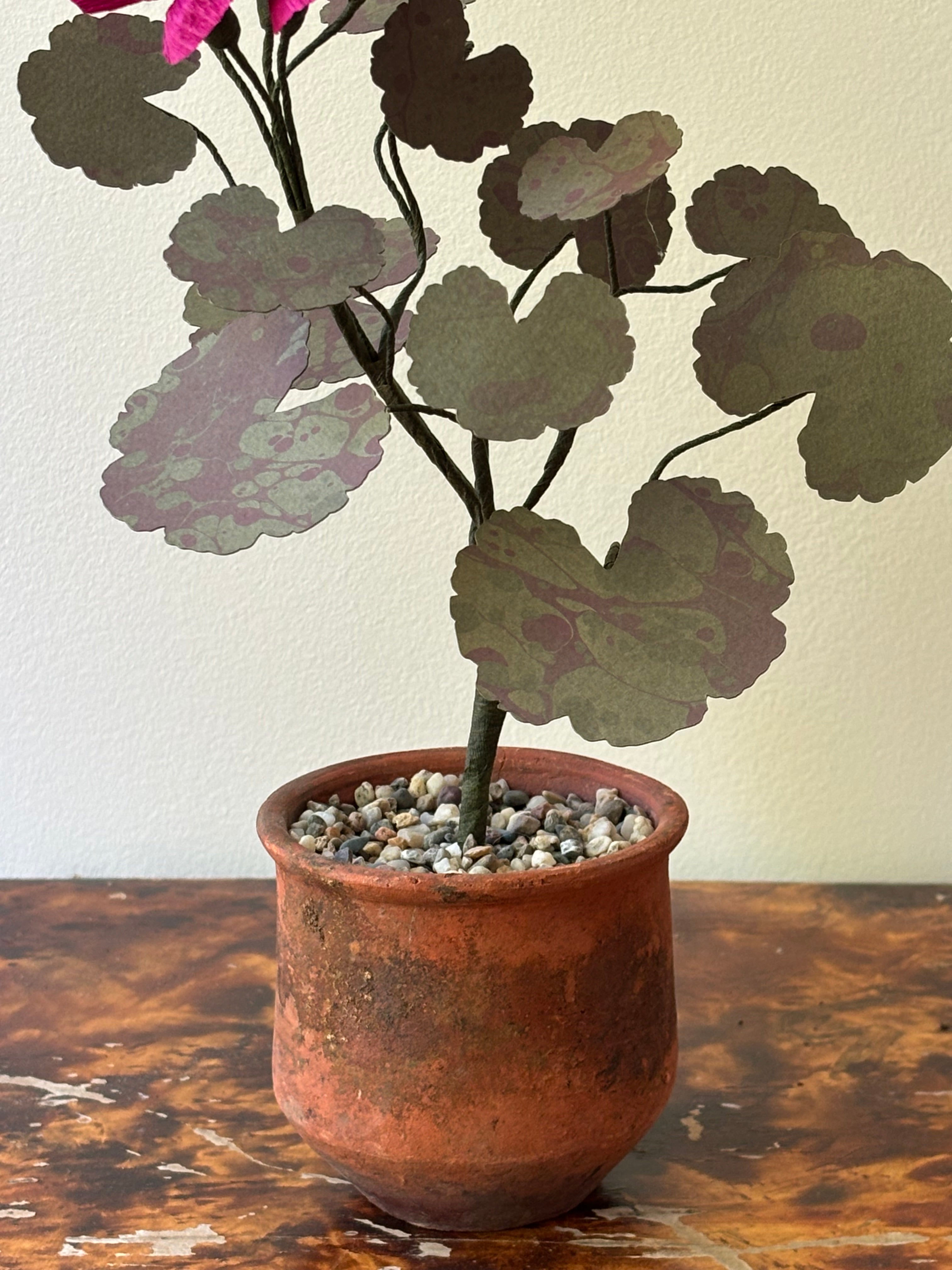 Paper Geranium