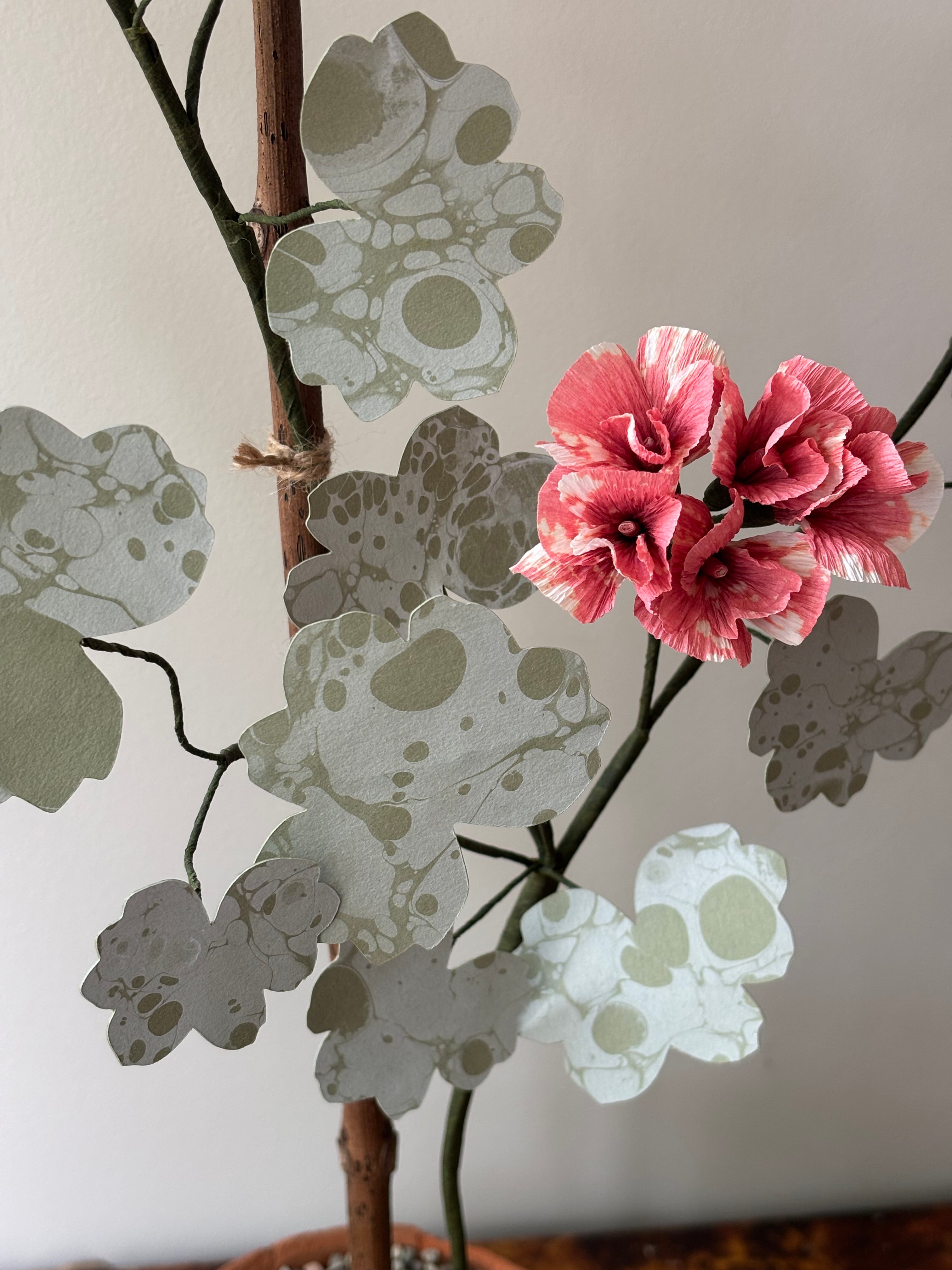 Paper Geranium