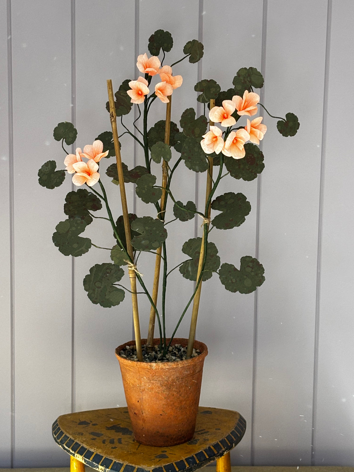 Paper geranium