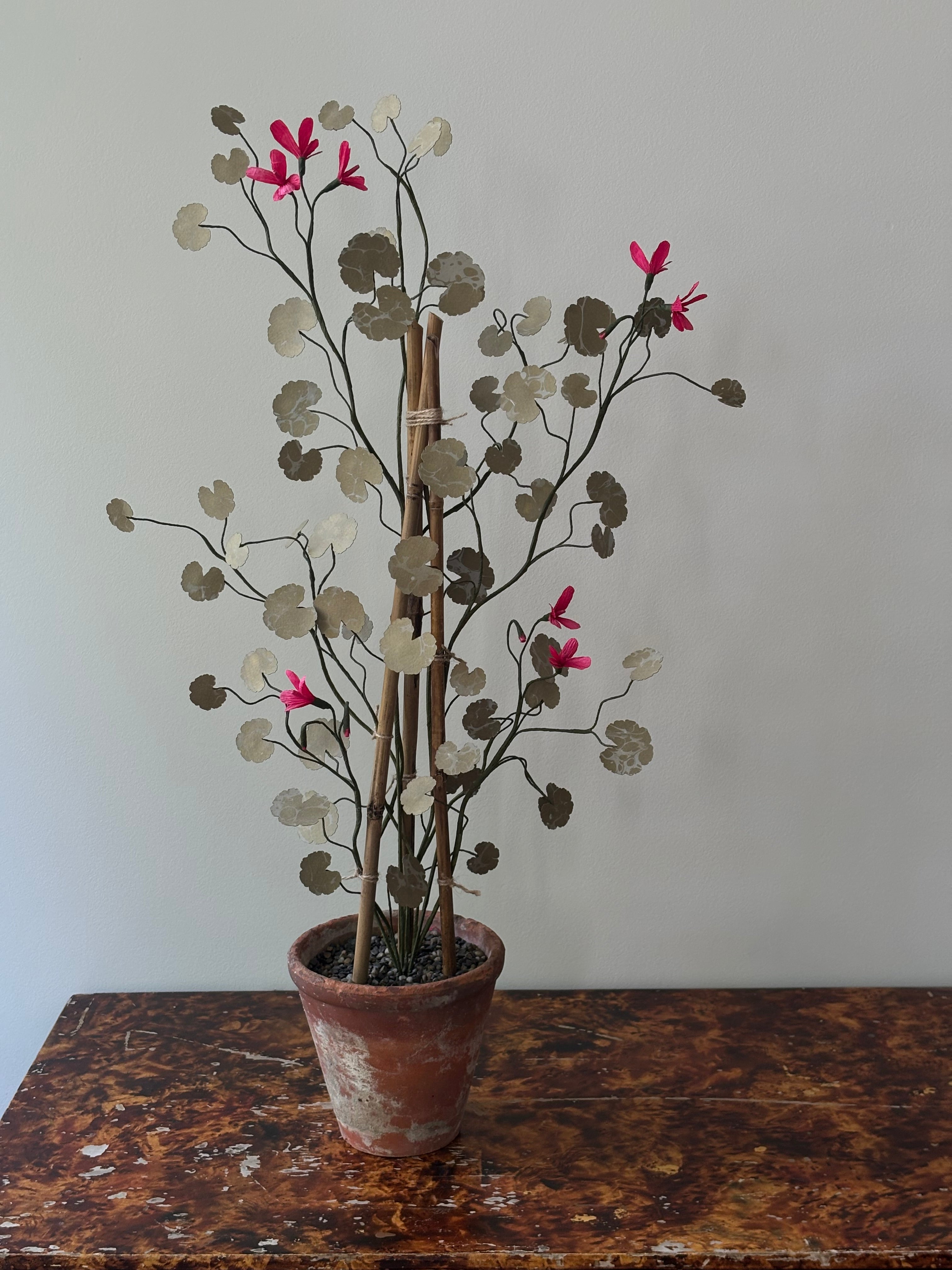 Paper Geranium