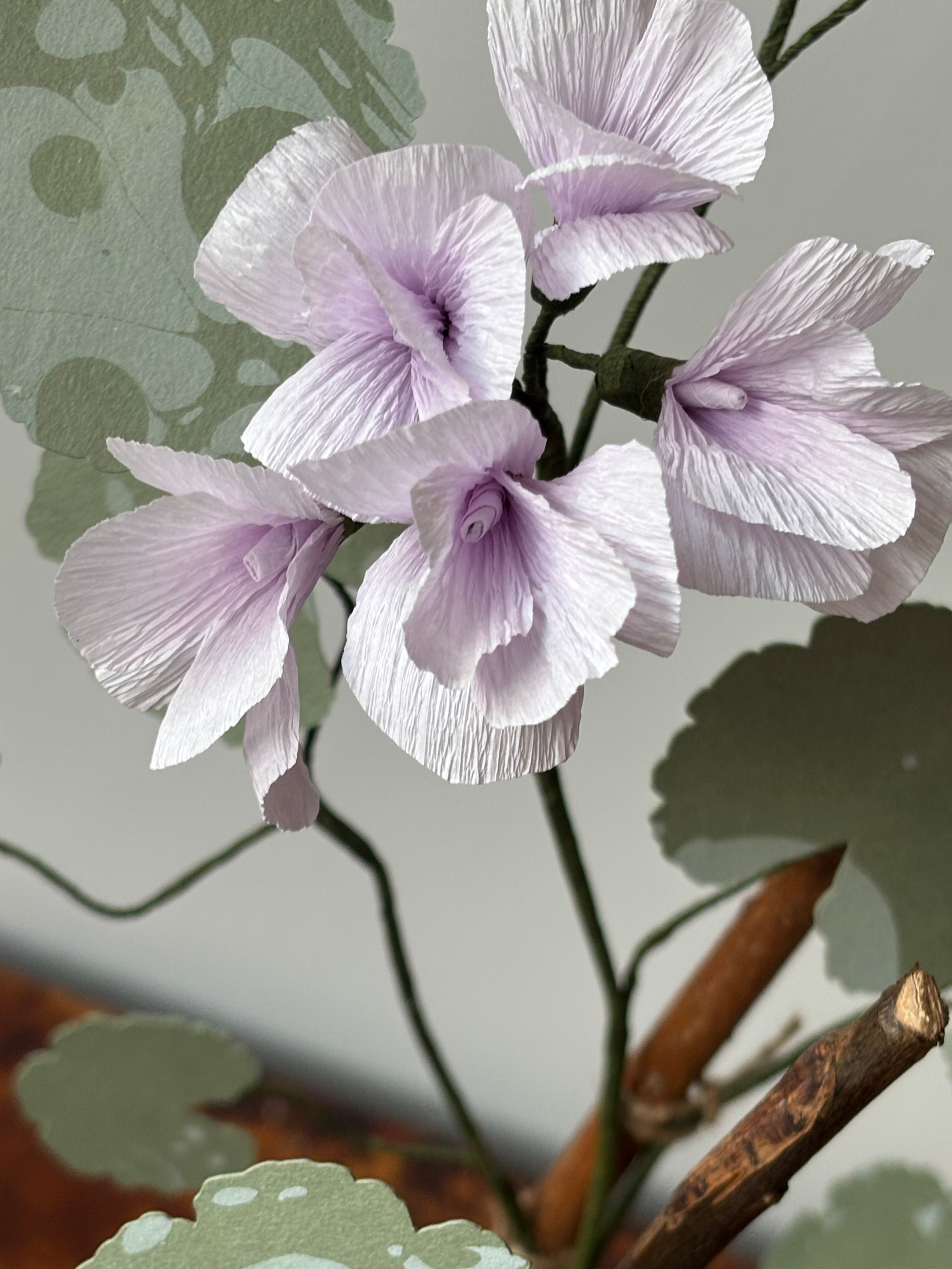 Paper Geranium