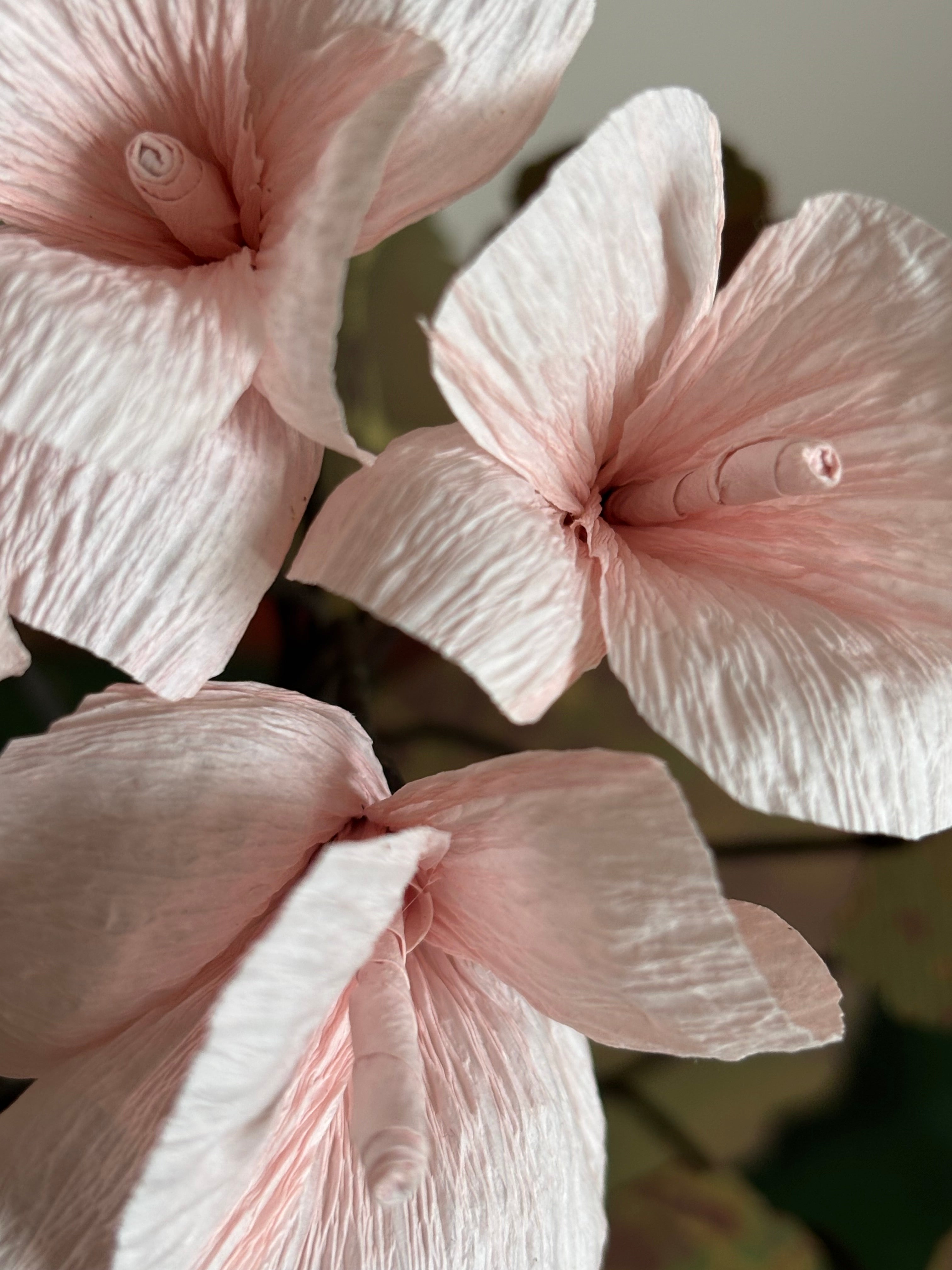 Paper Geranium