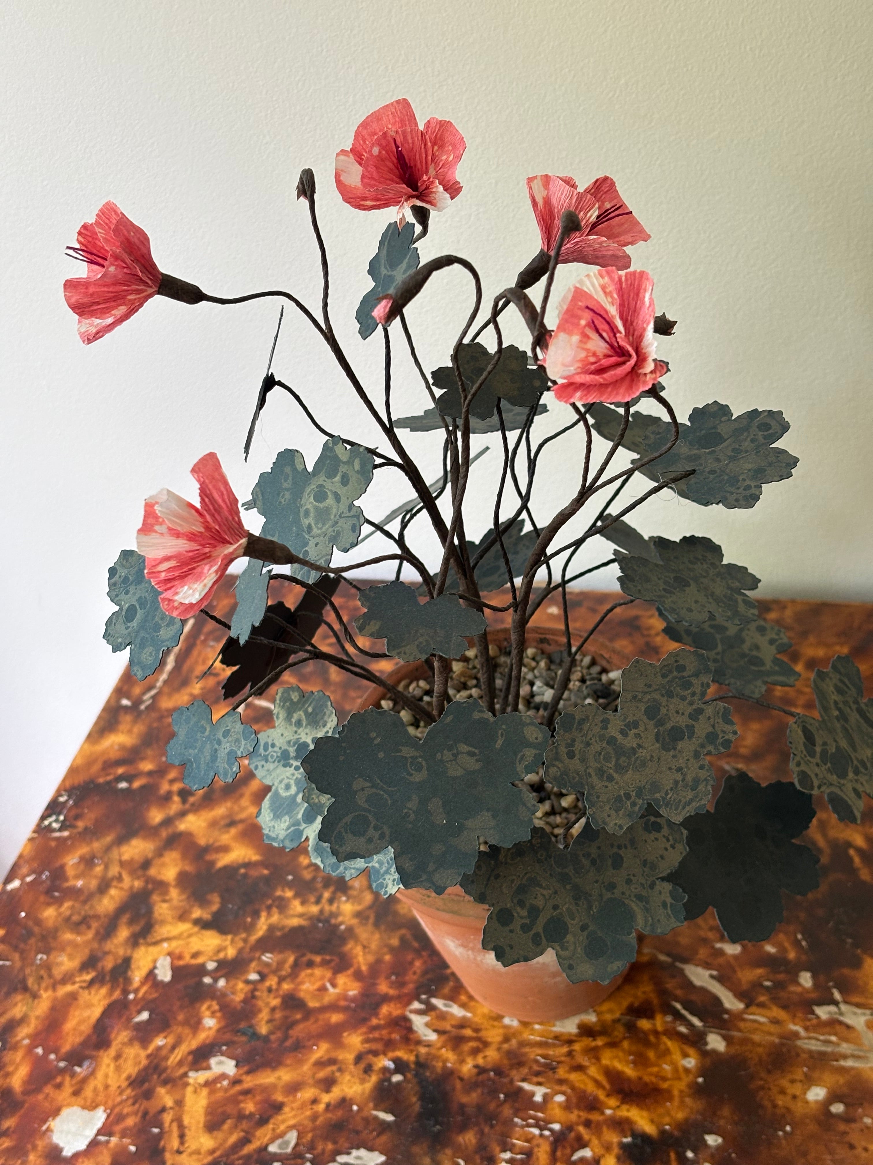Paper Geranium