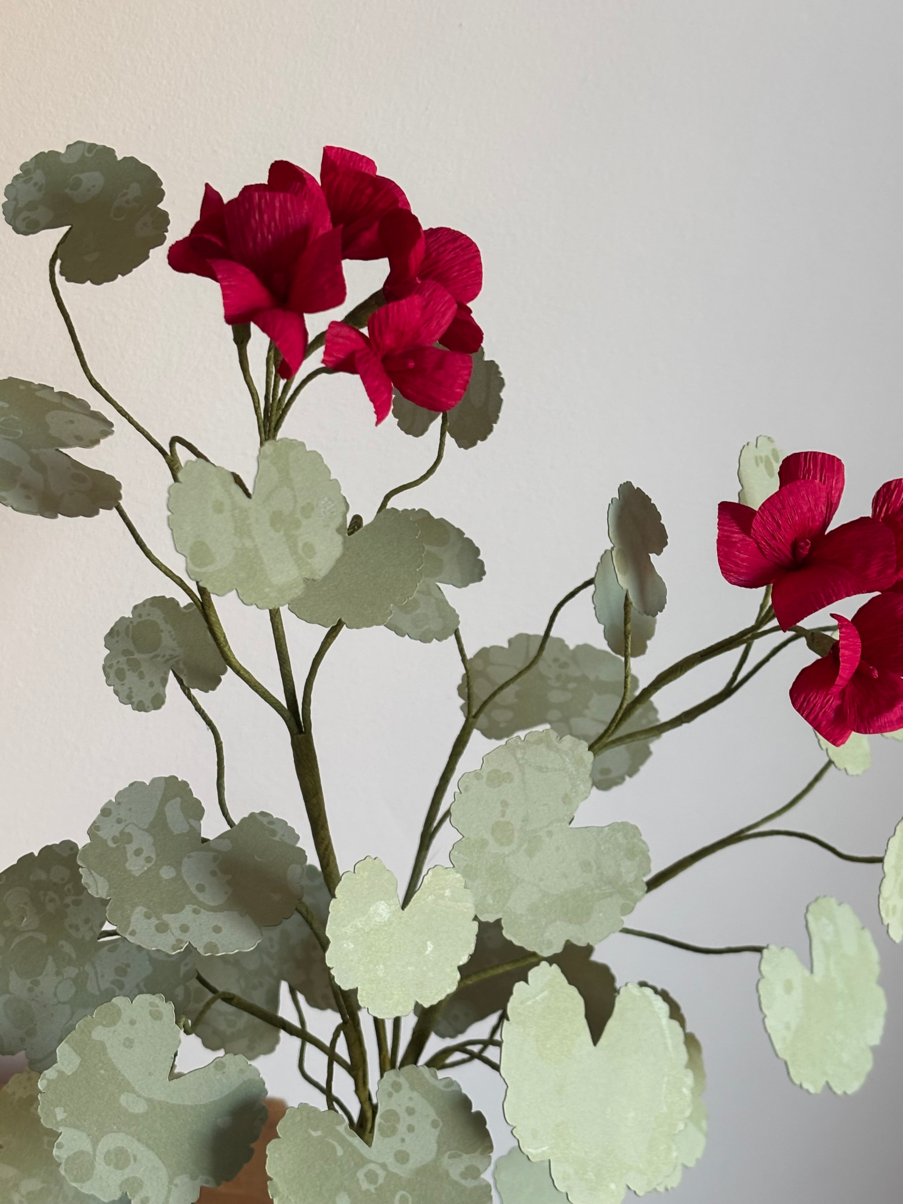 Paper Geranium
