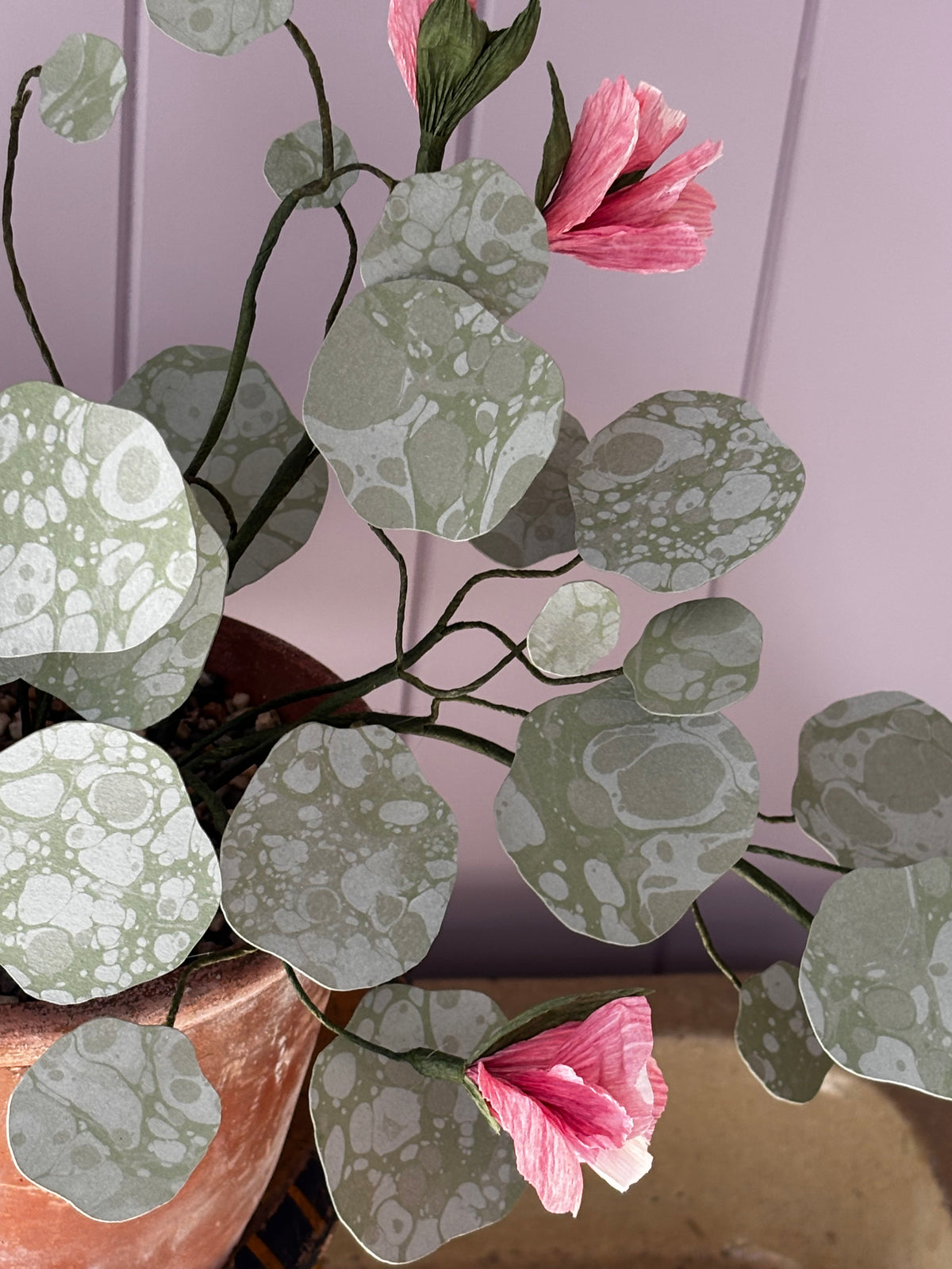 Paper nasturtium