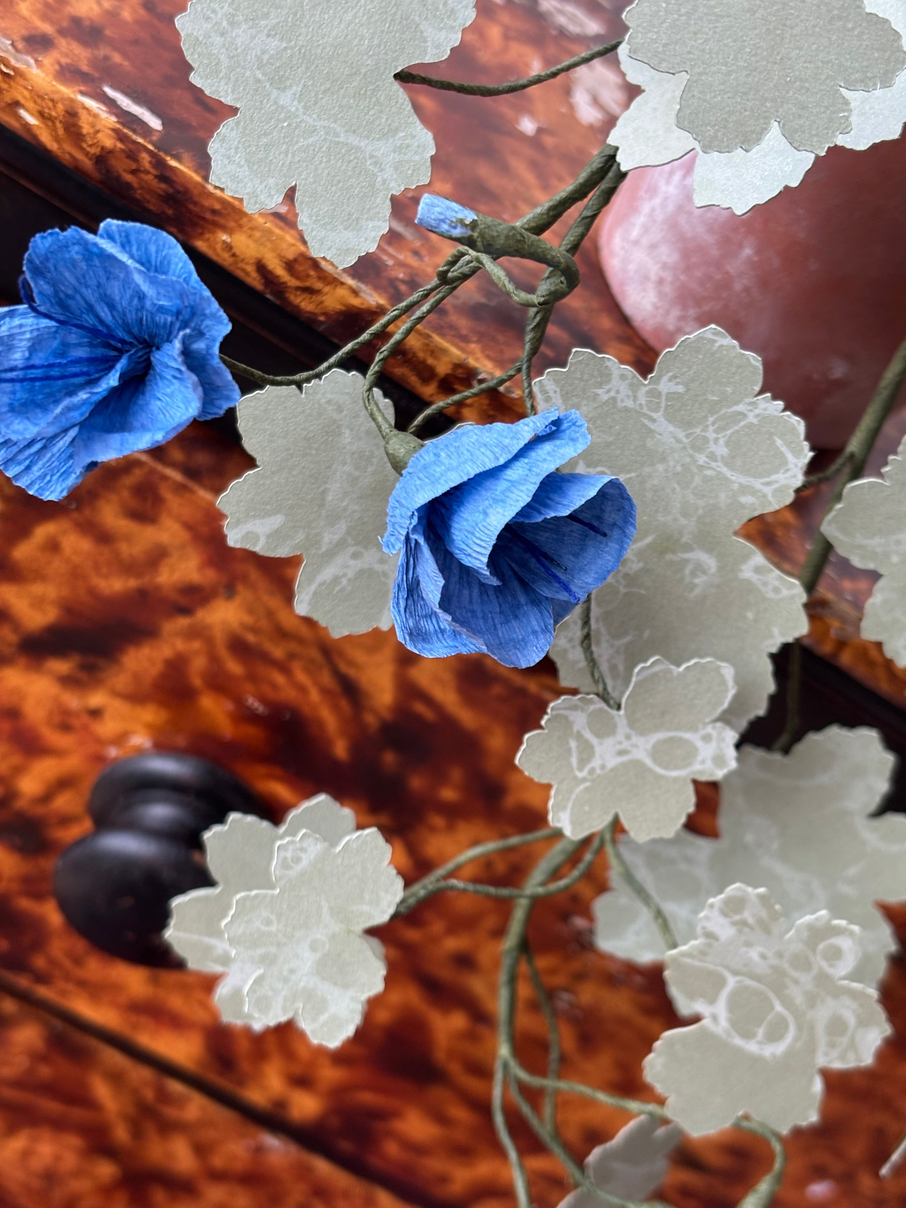 Paper hardy Geranium, trailing