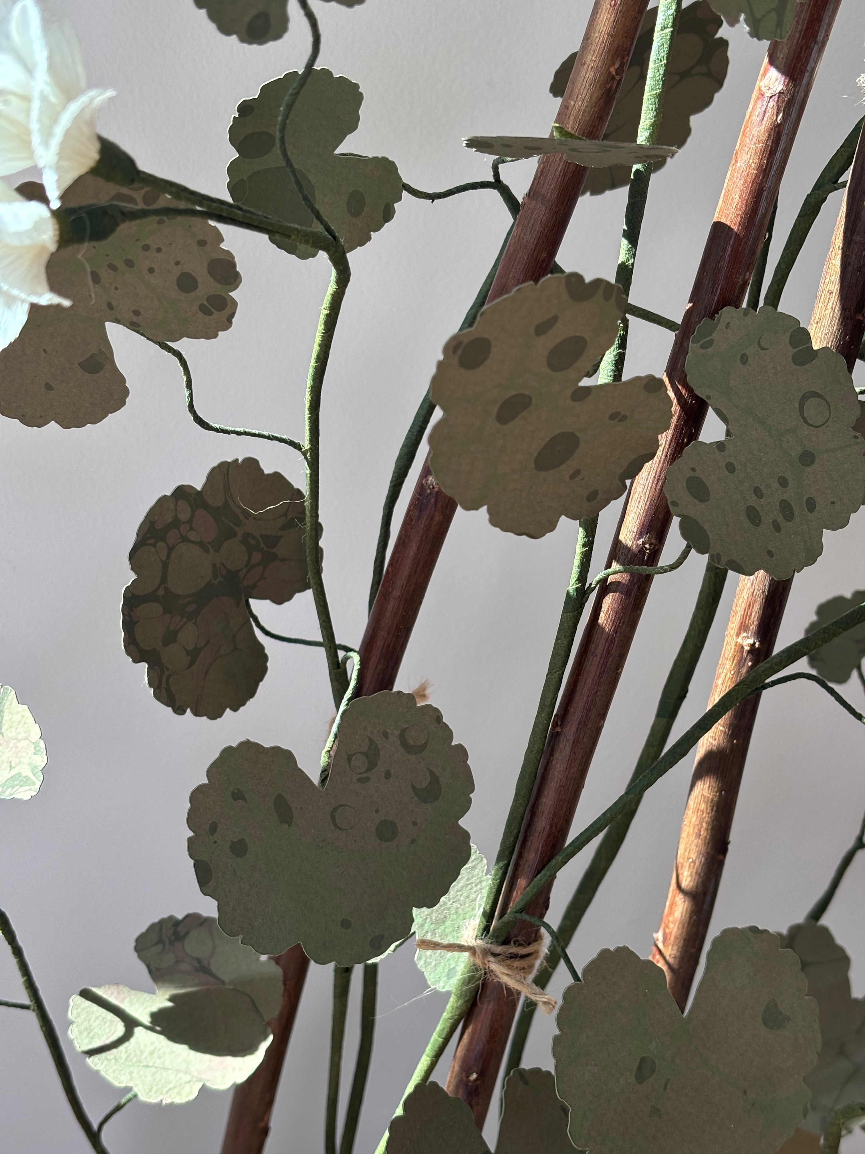 Paper Geranium - UK Delivery Only