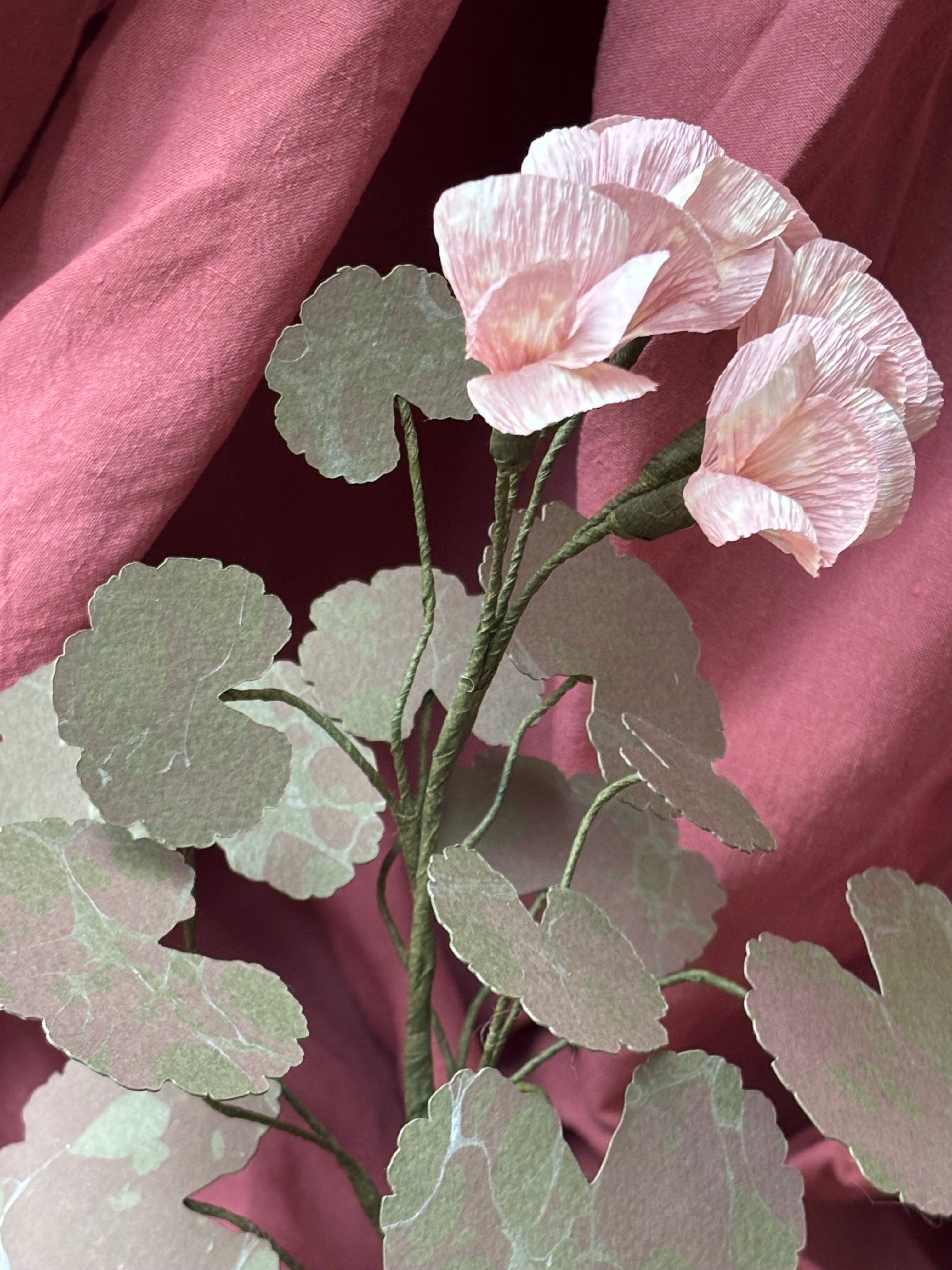 Paper Geranium