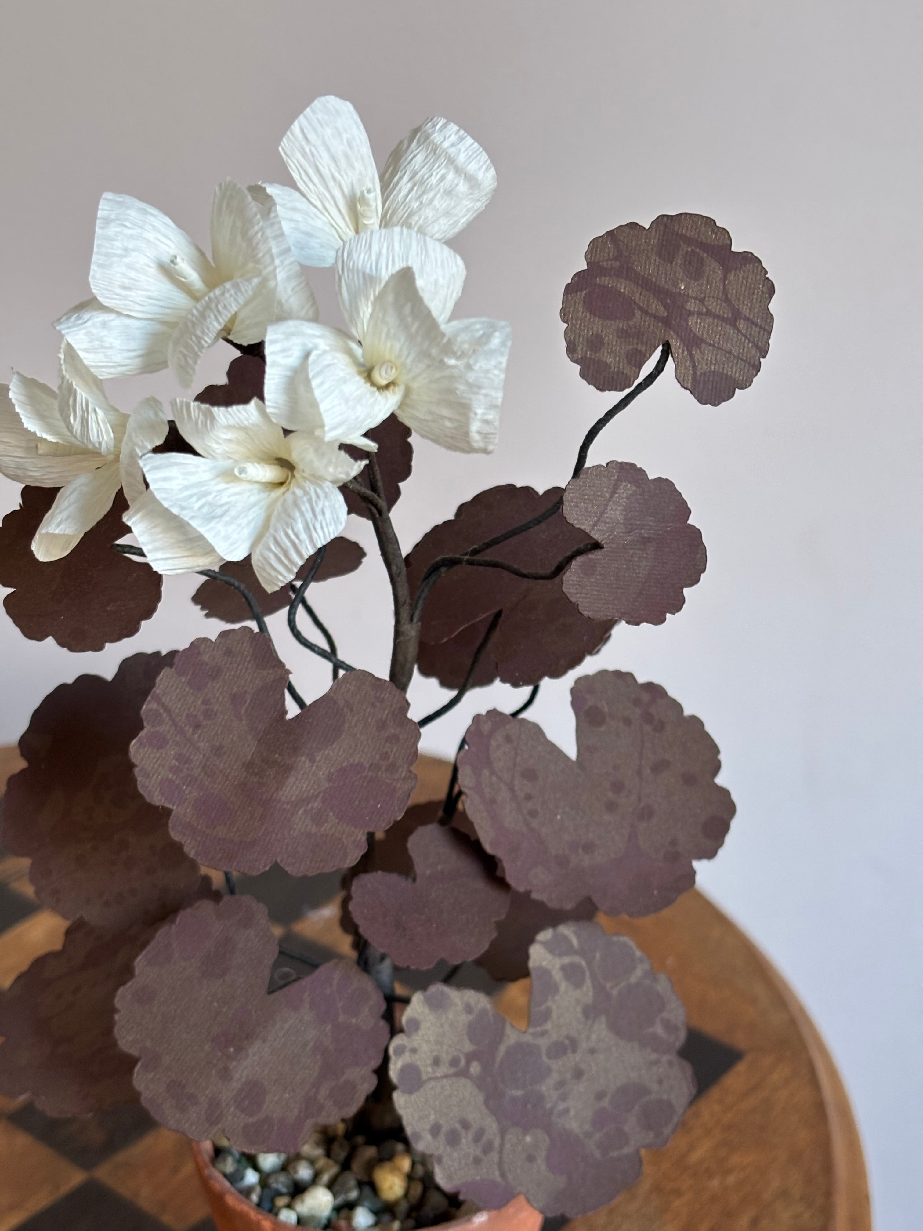 Paper Geranium