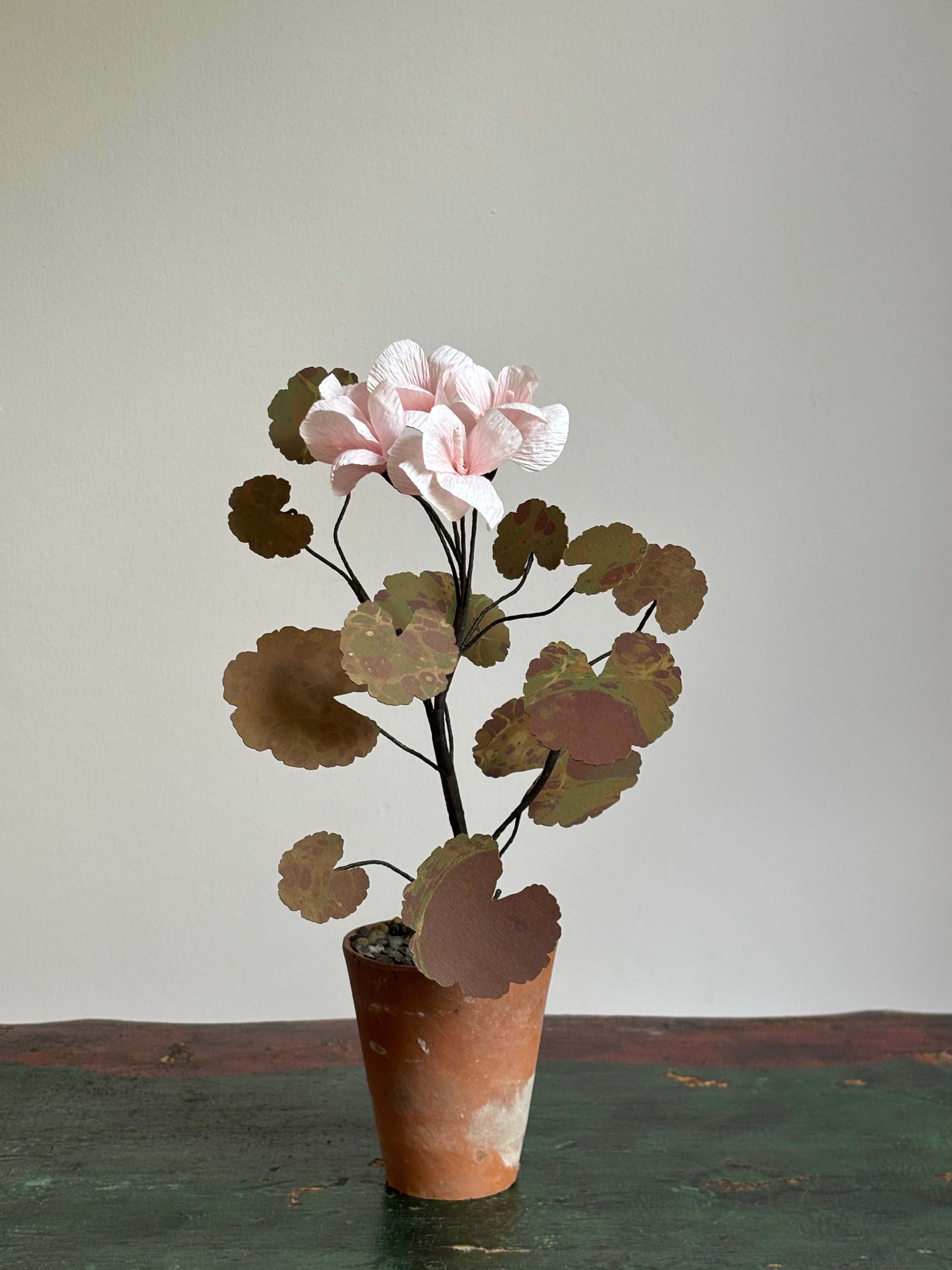 Paper Geranium