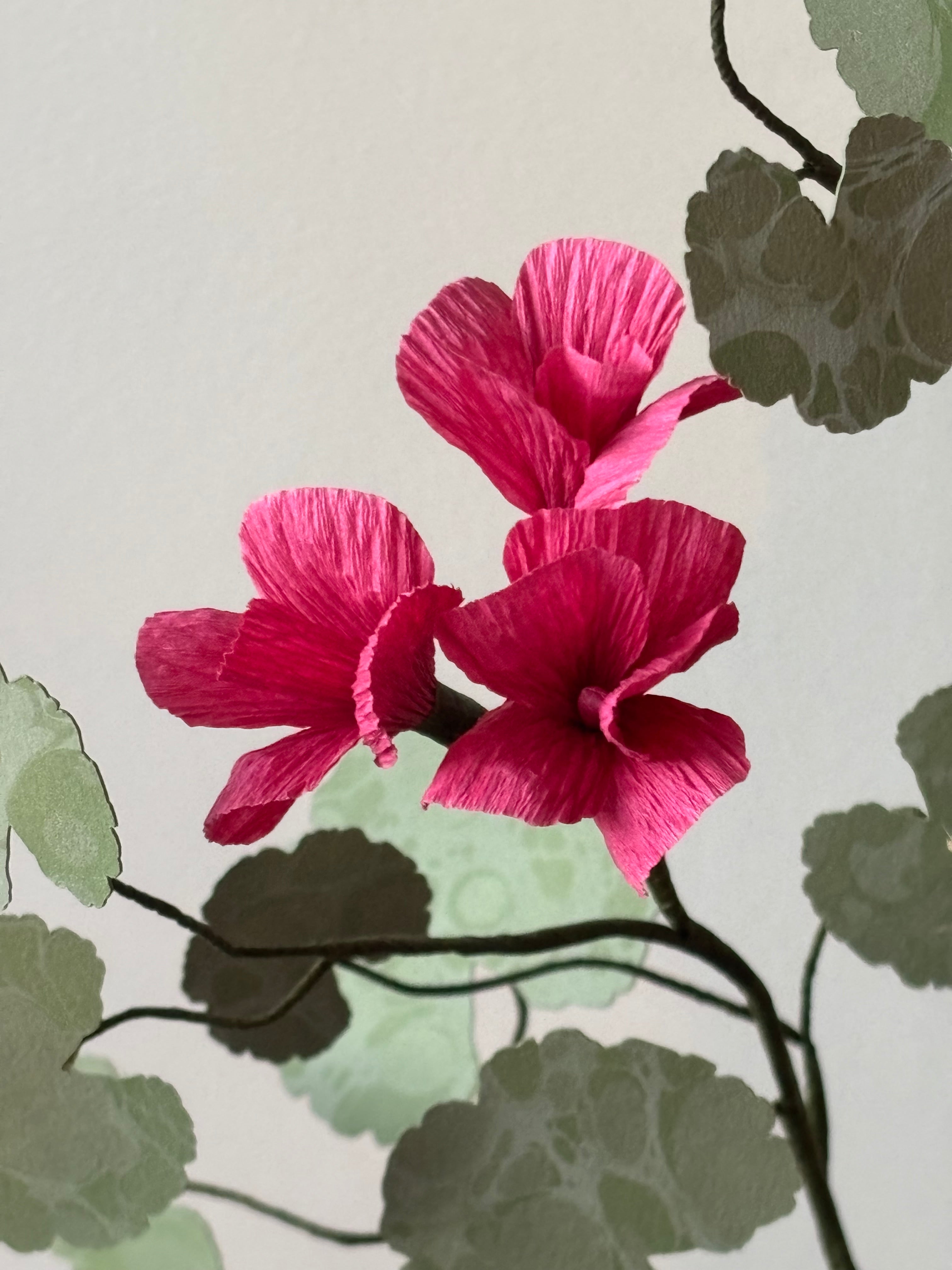 Paper Geranium