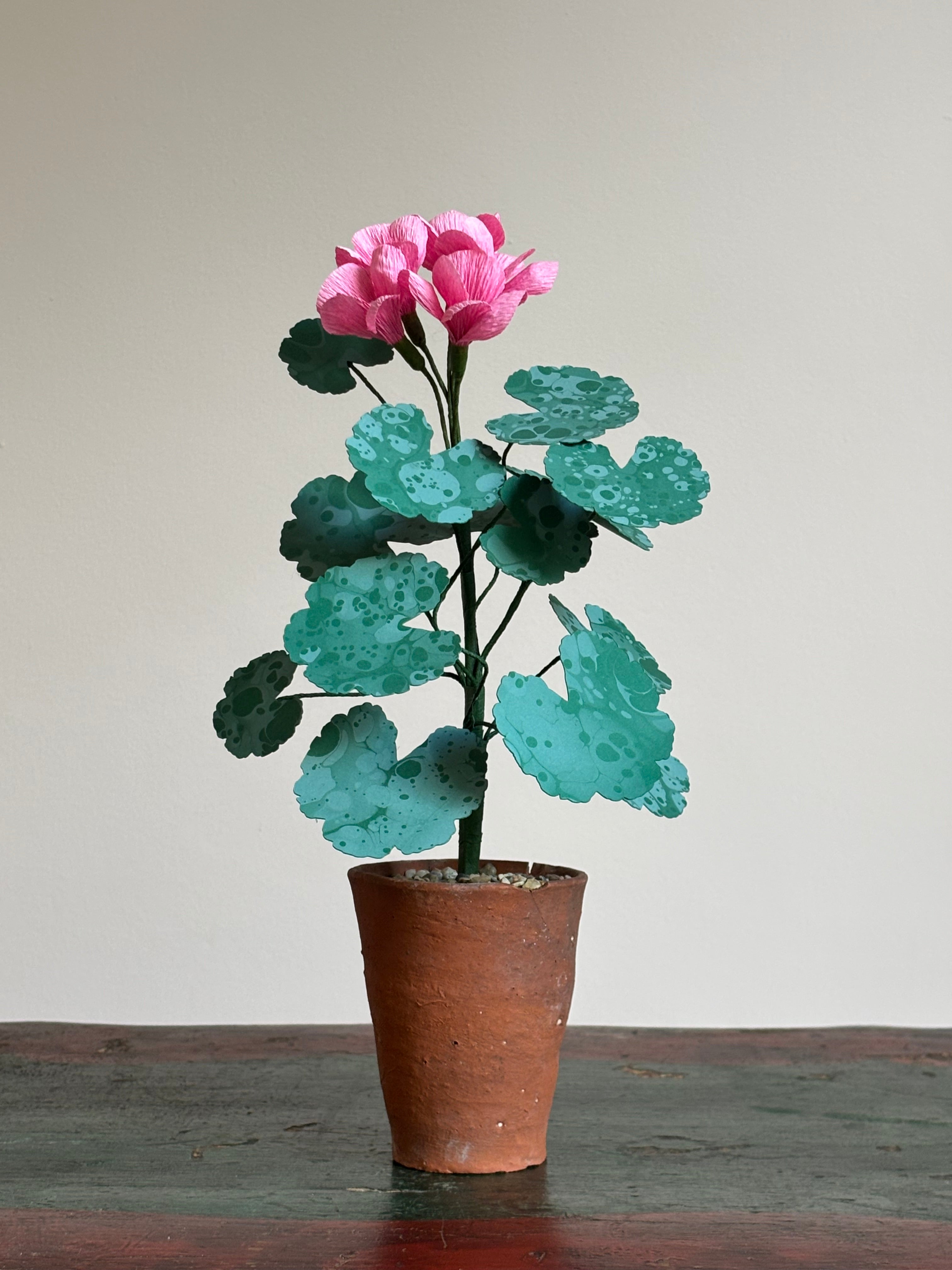 Paper Geranium