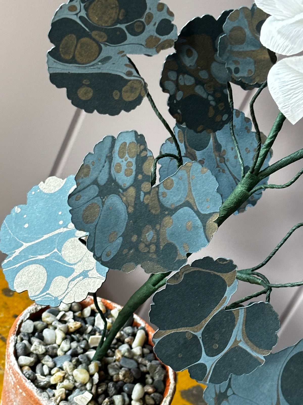 Paper geranium