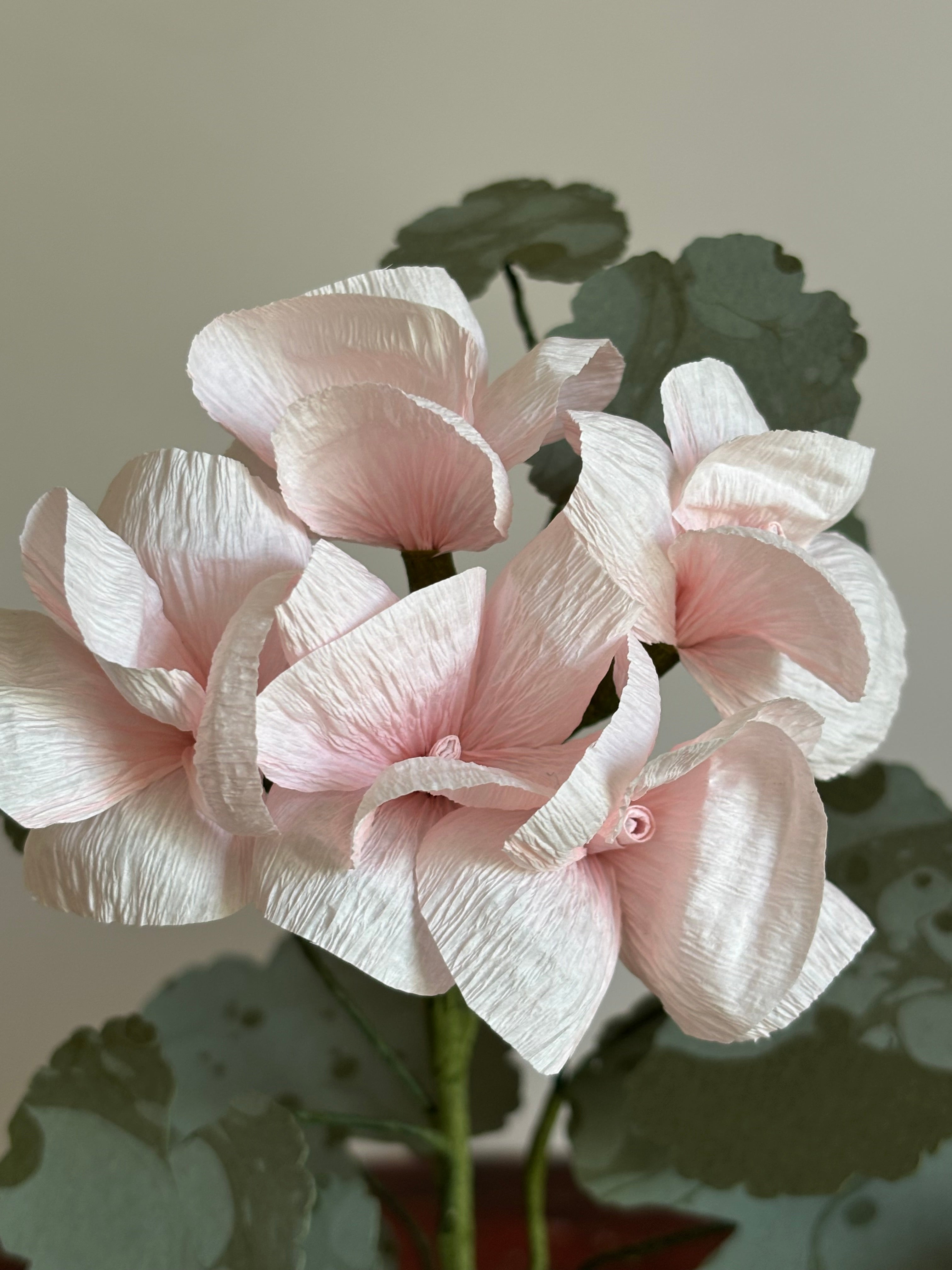 Paper Geranium