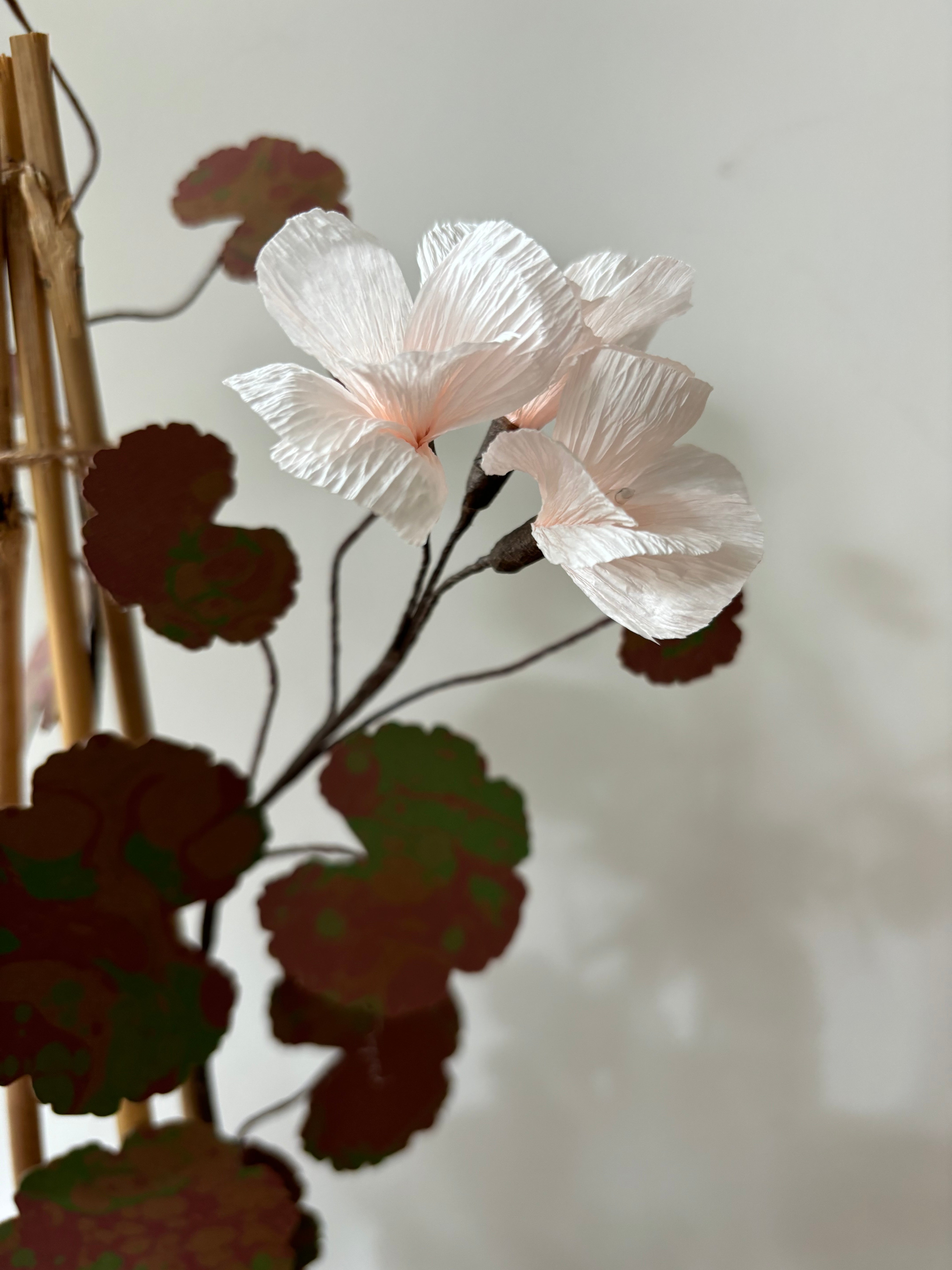 Paper Geranium