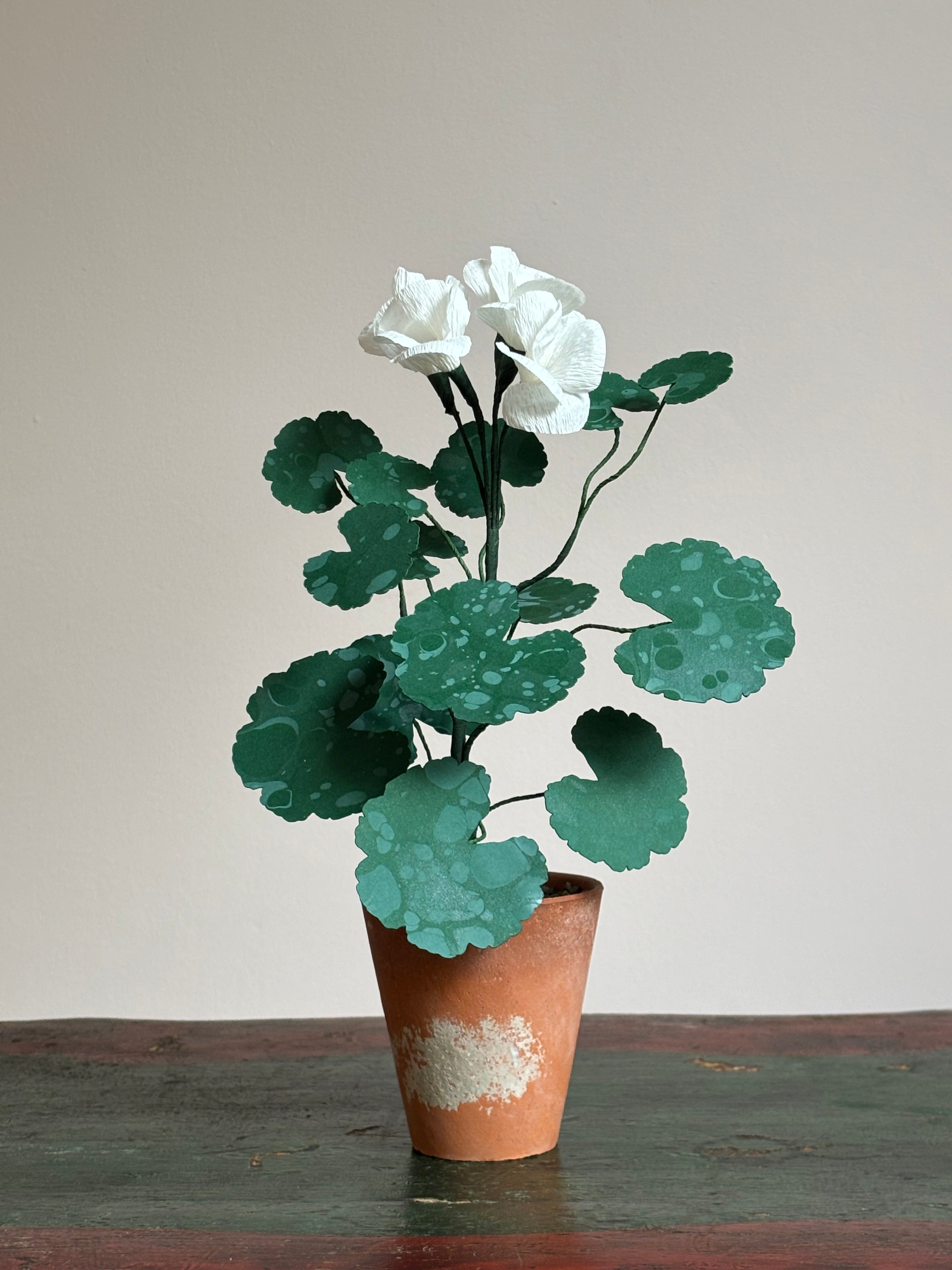 Paper Geranium