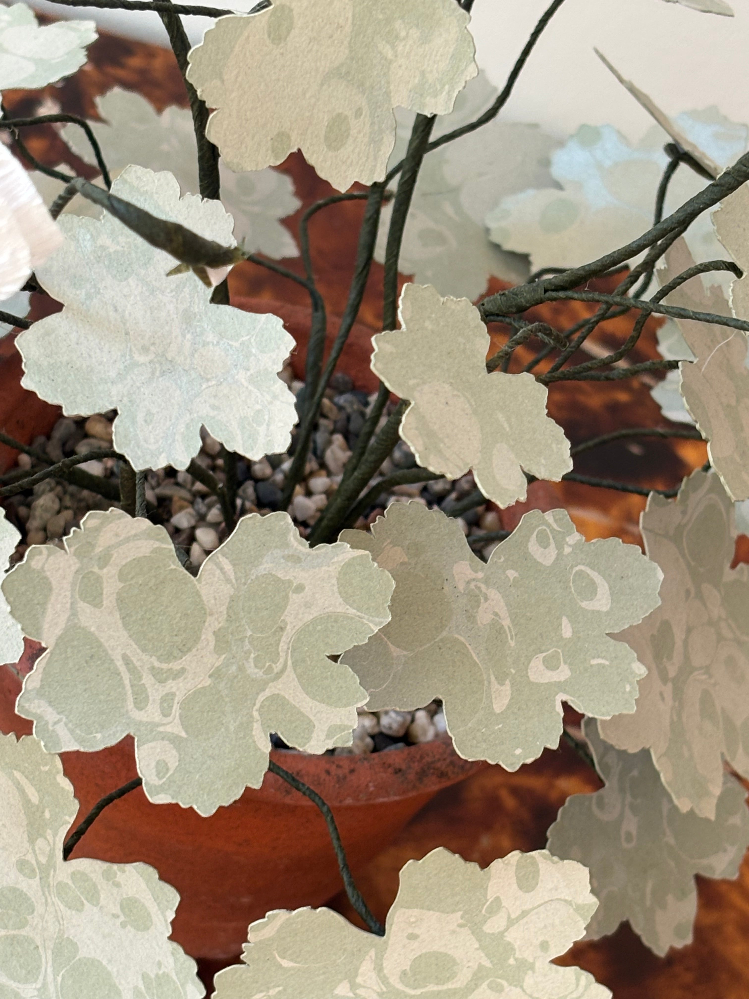 Paper Geranium