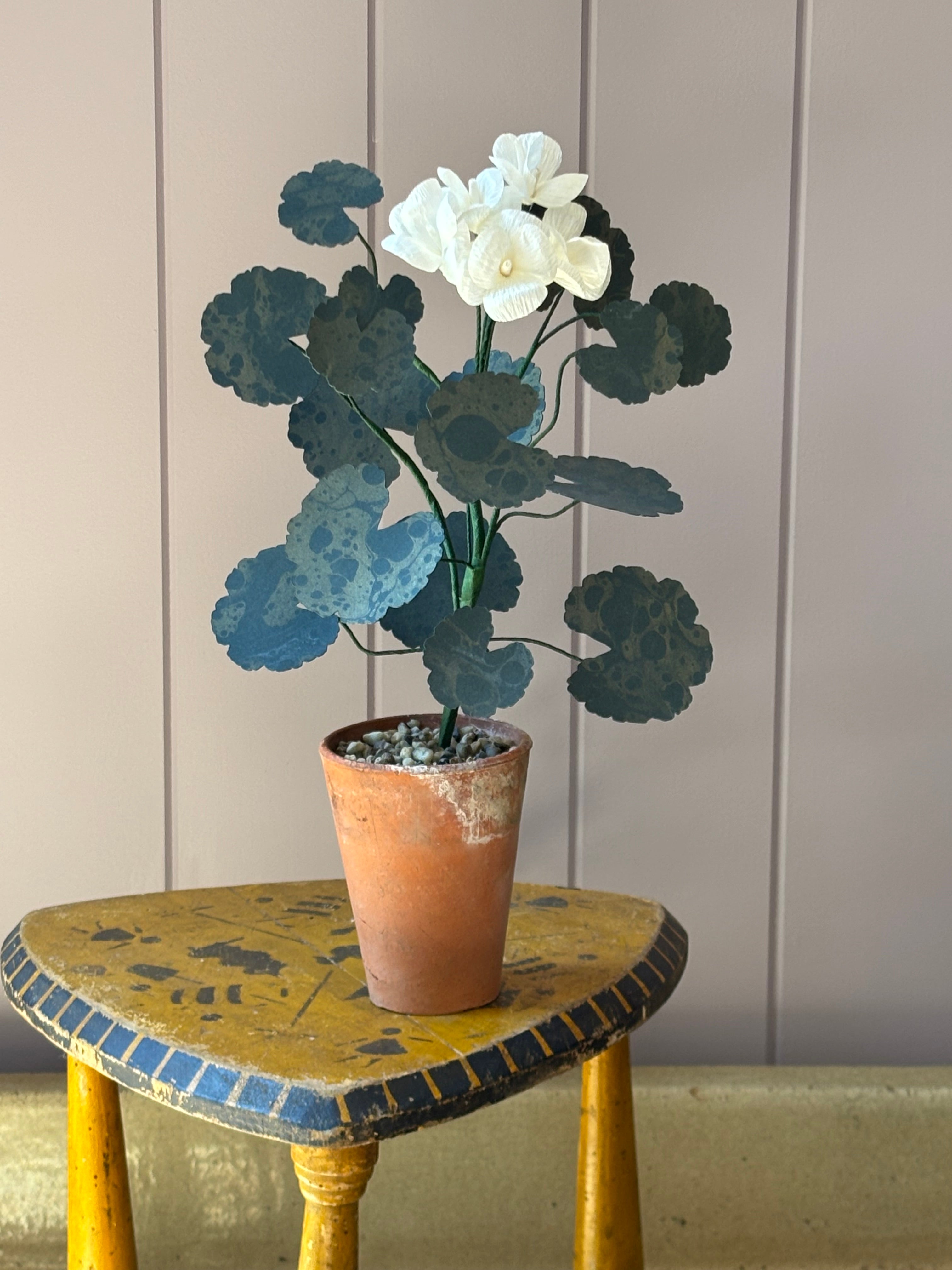 Paper geranium