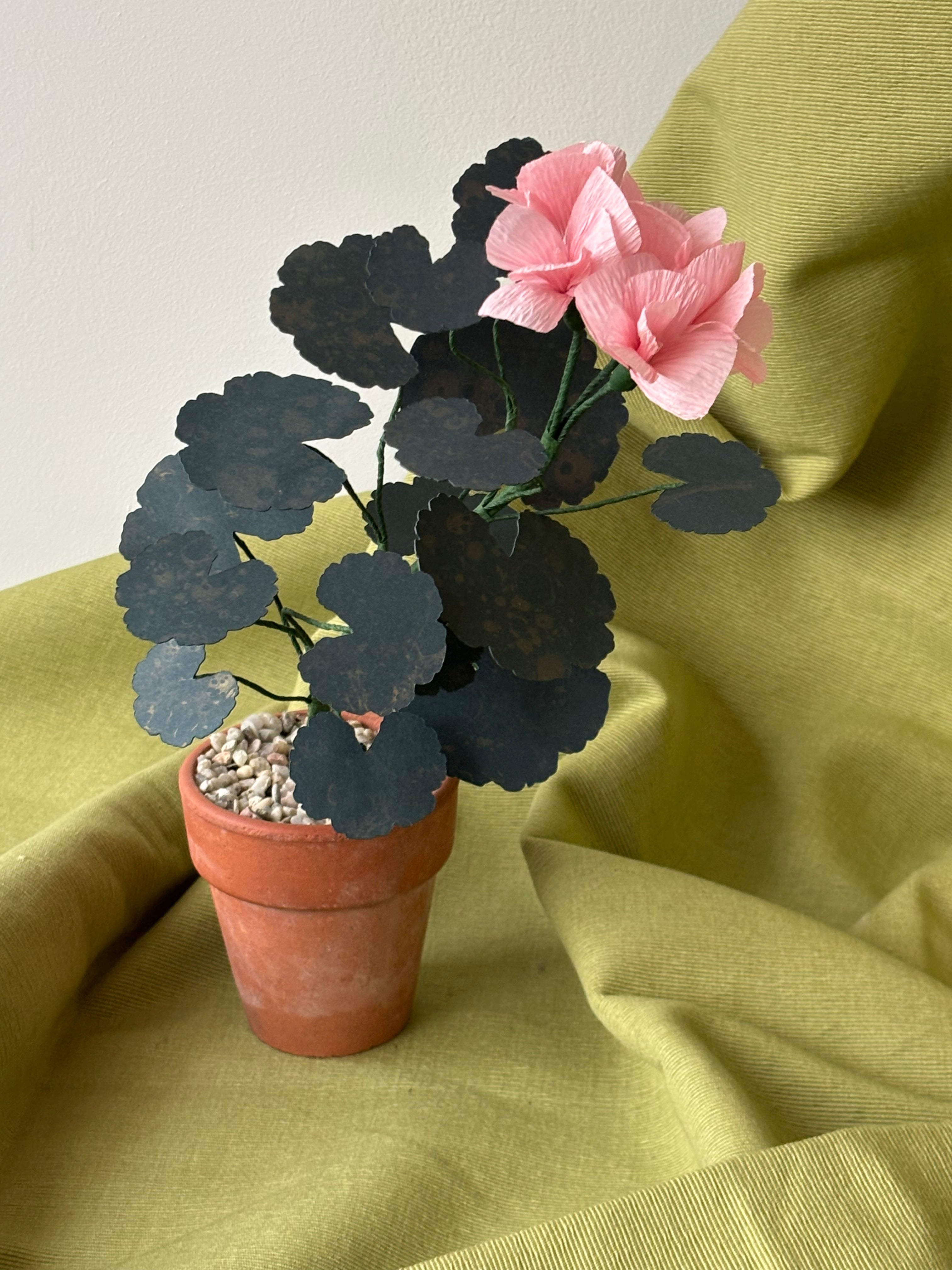 Paper Geranium