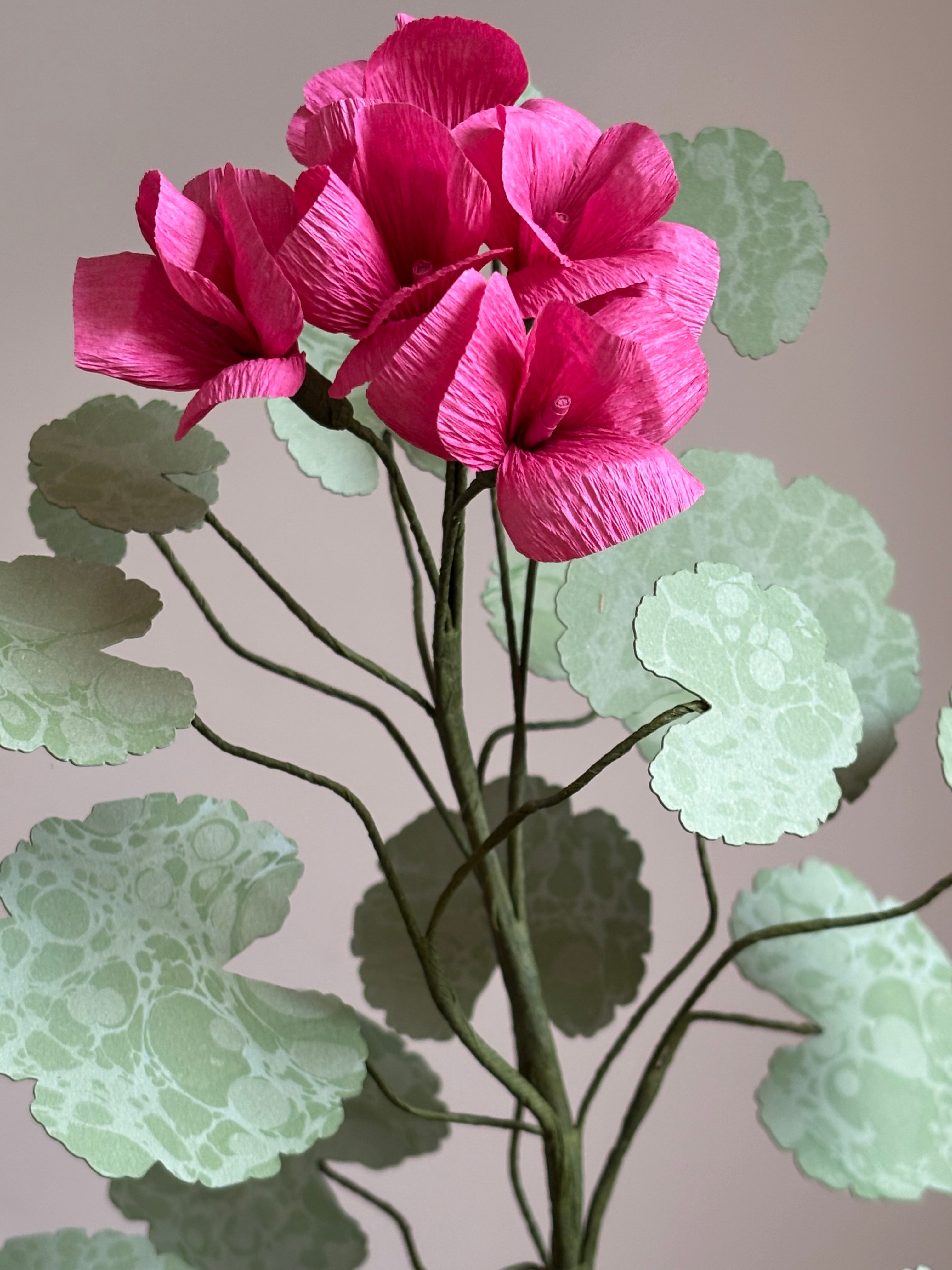 Paper Geranium