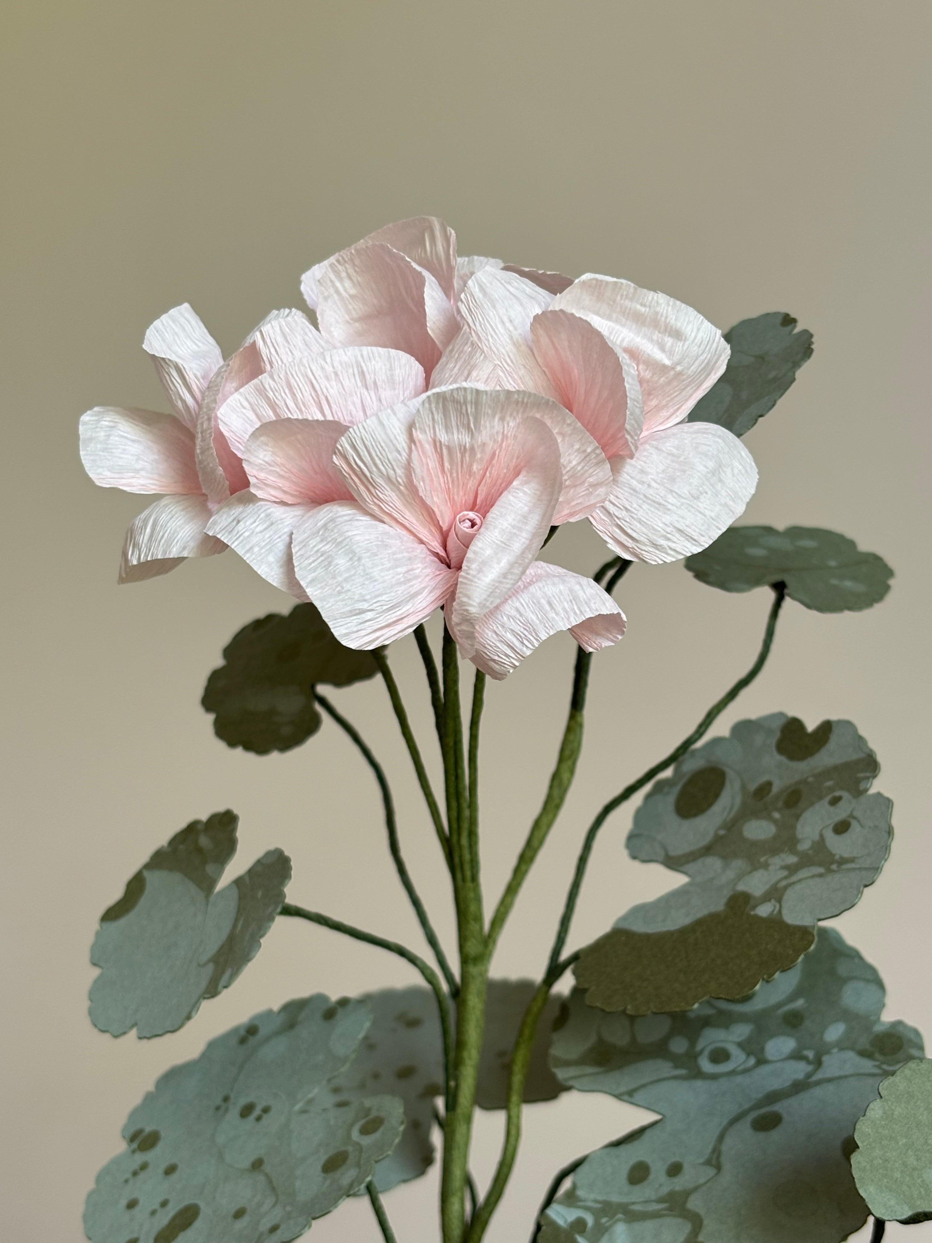 Paper Geranium