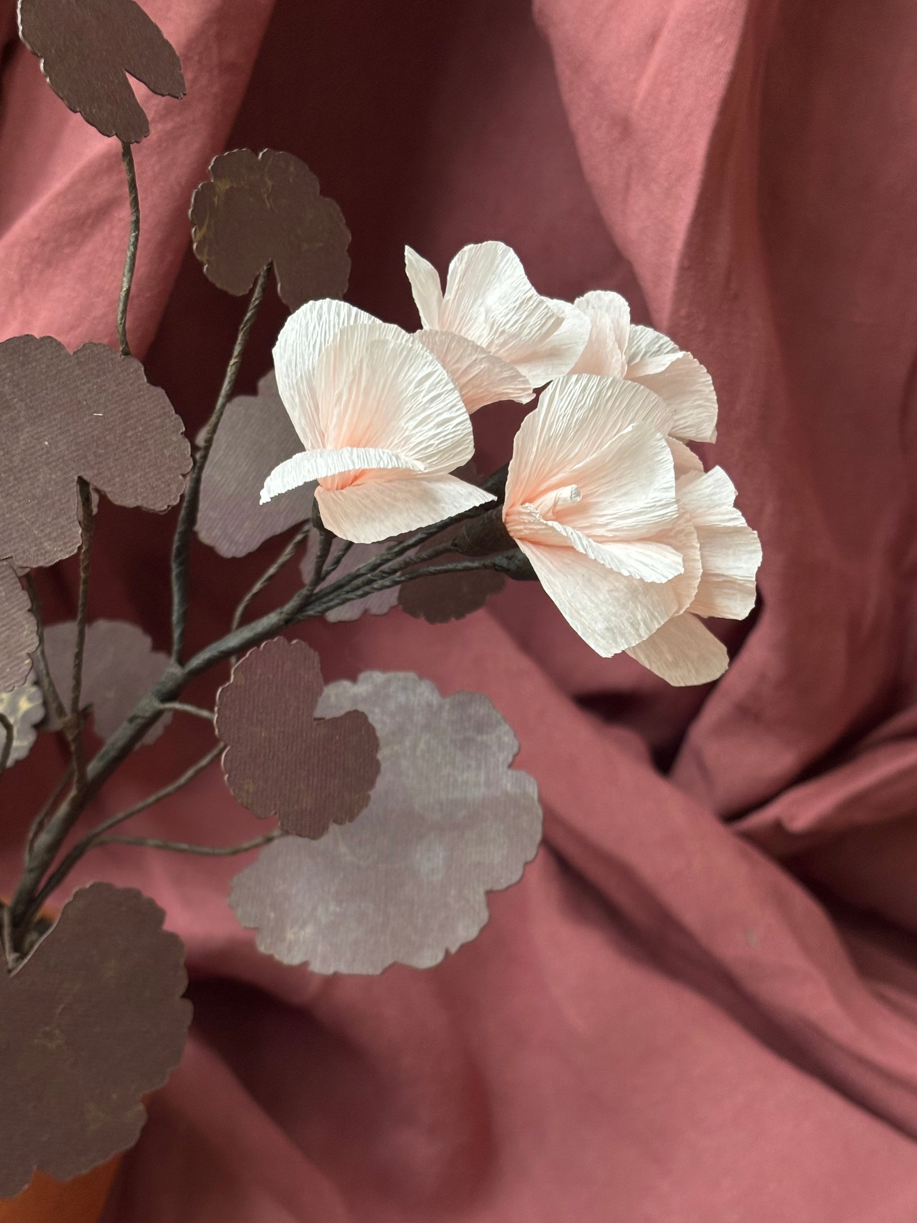 Paper Geranium