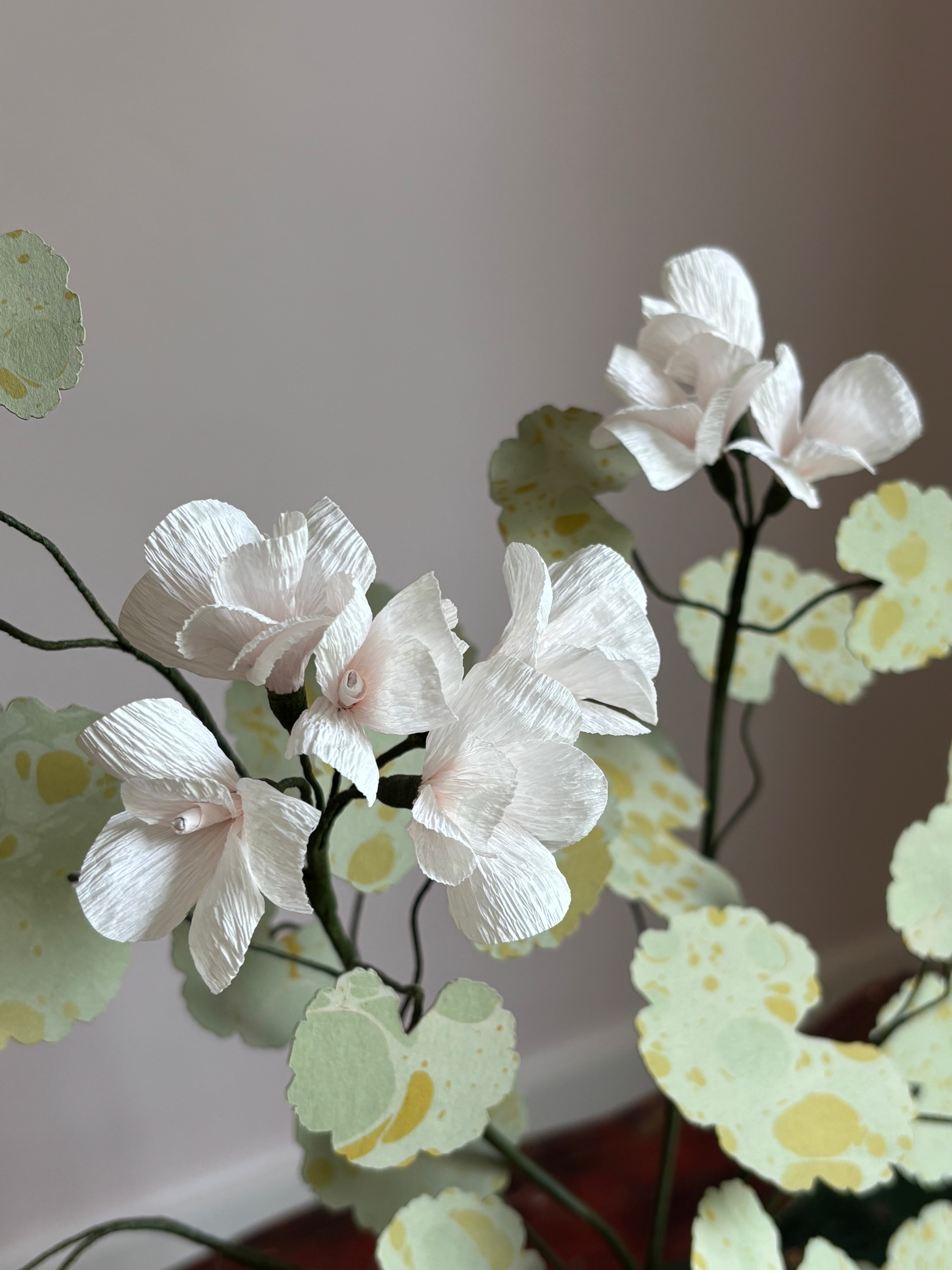 Paper Geranium