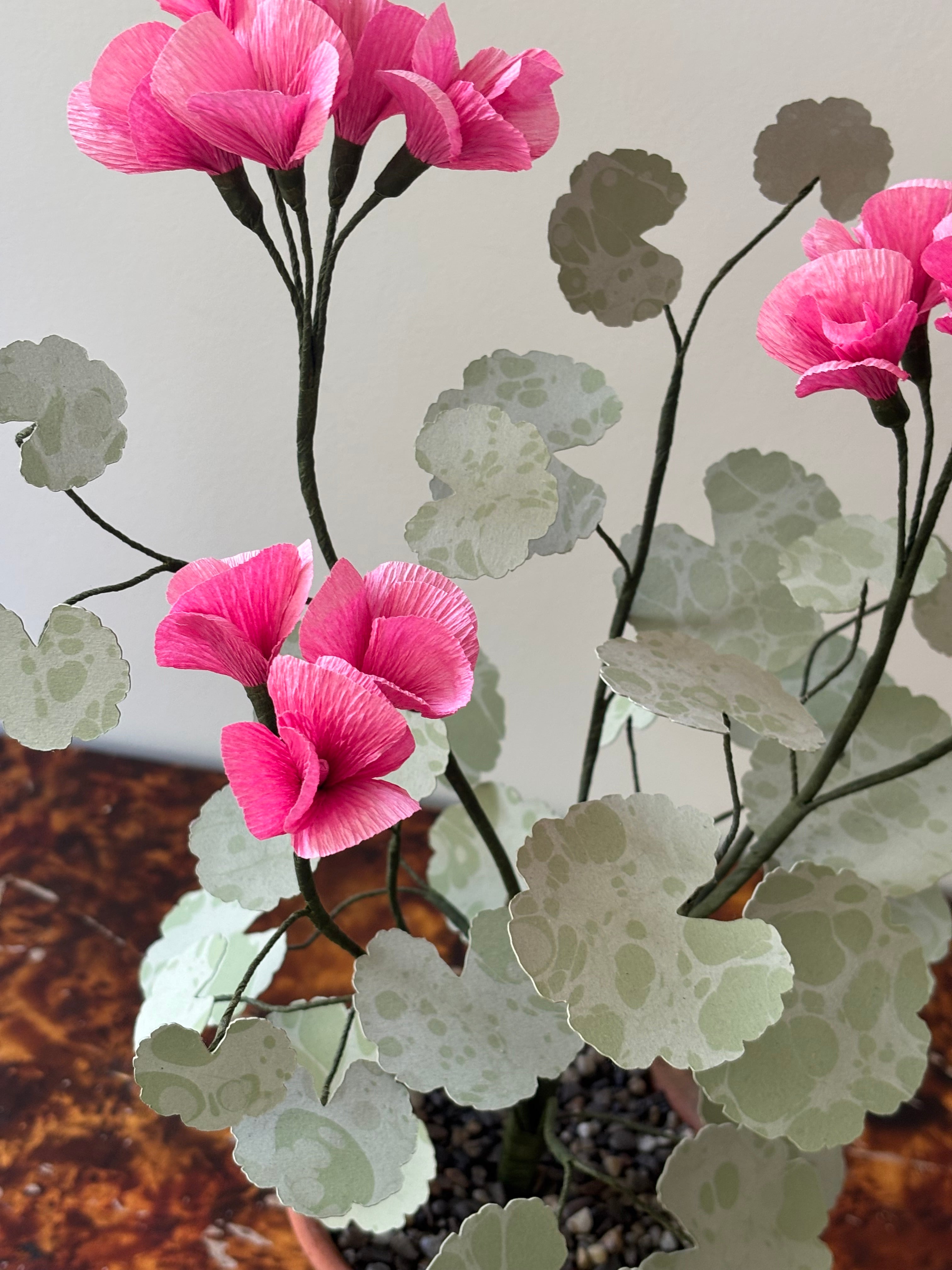 Paper Geranium