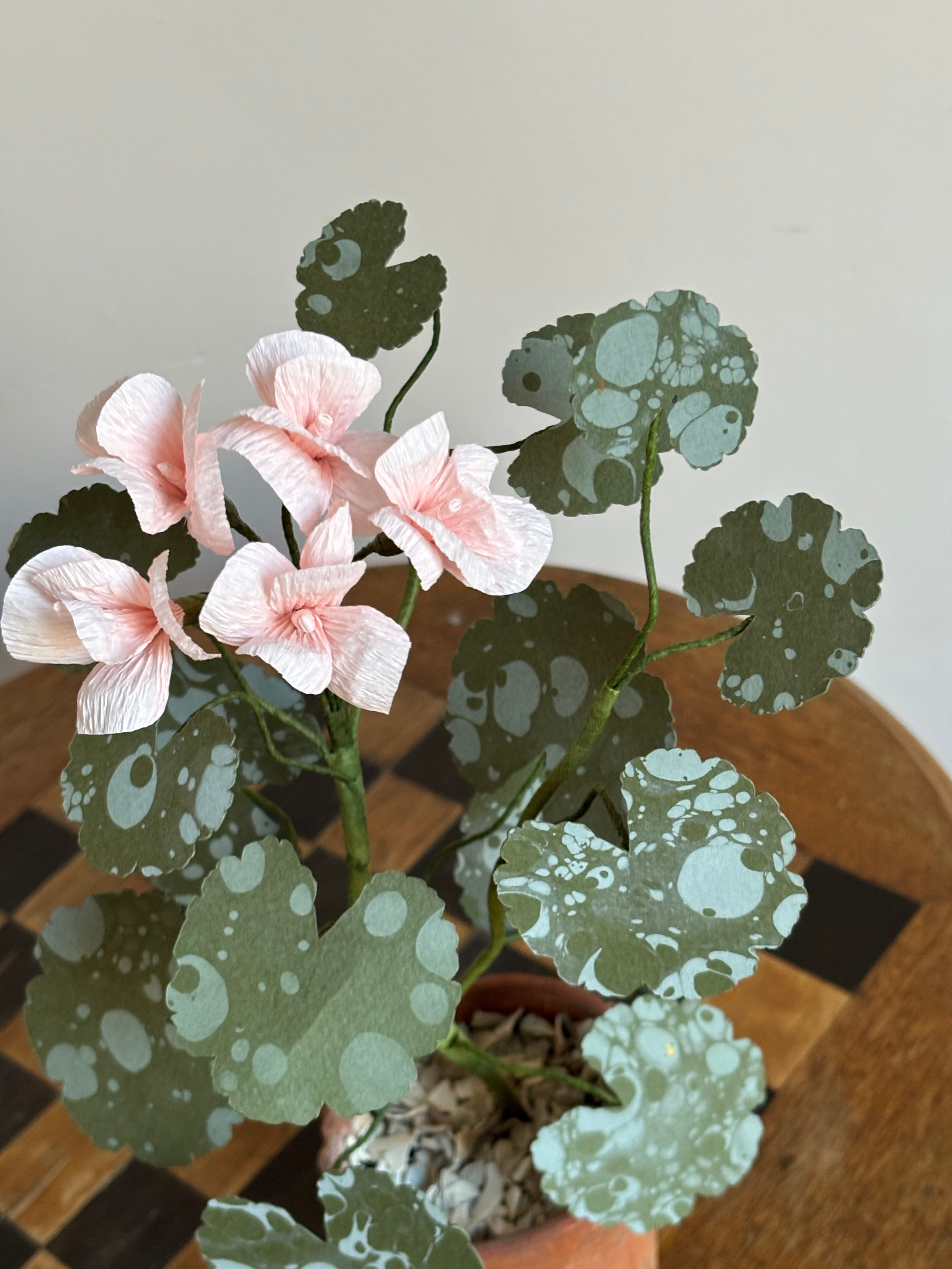 Paper Geranium