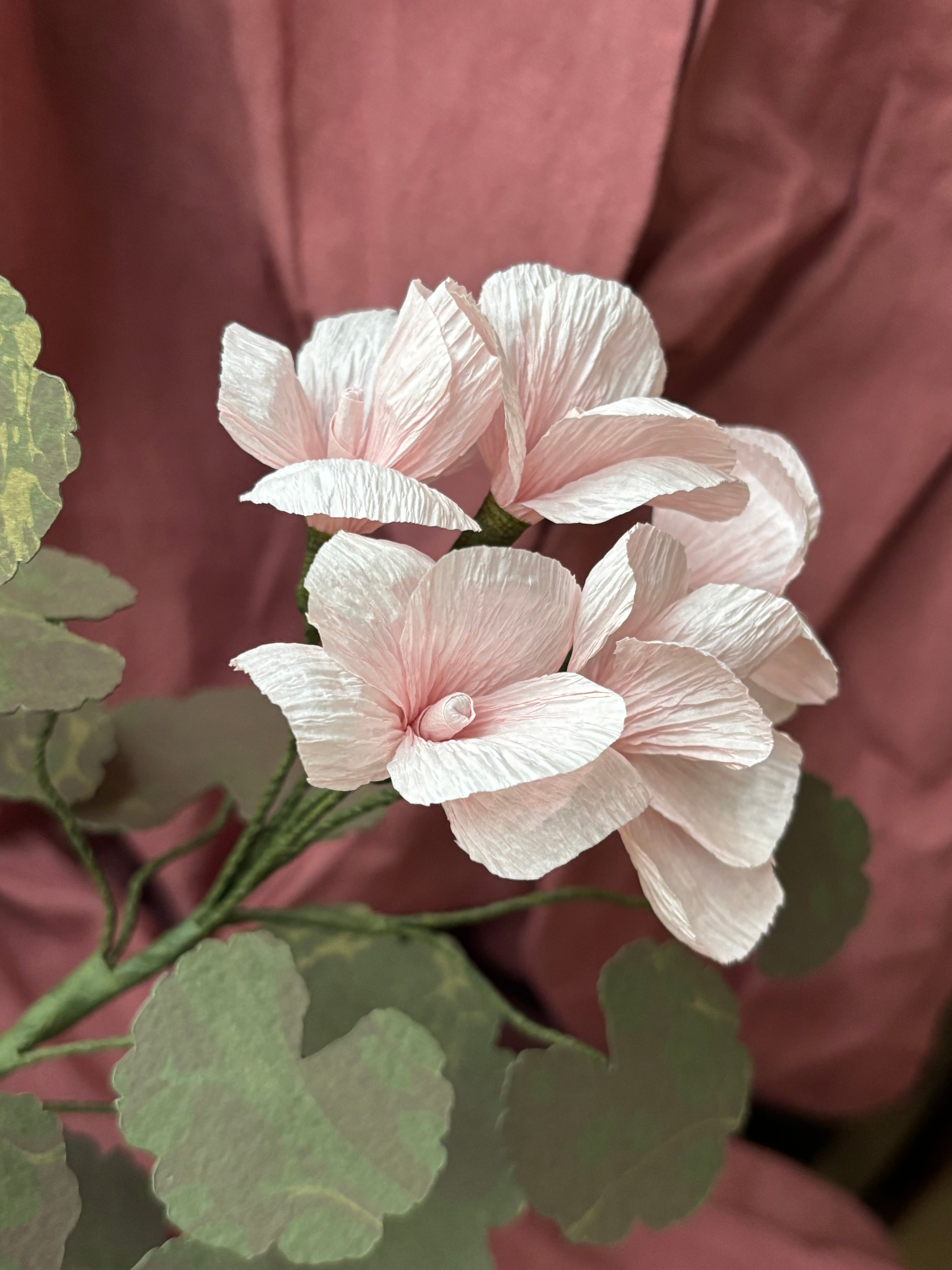 Paper Geranium