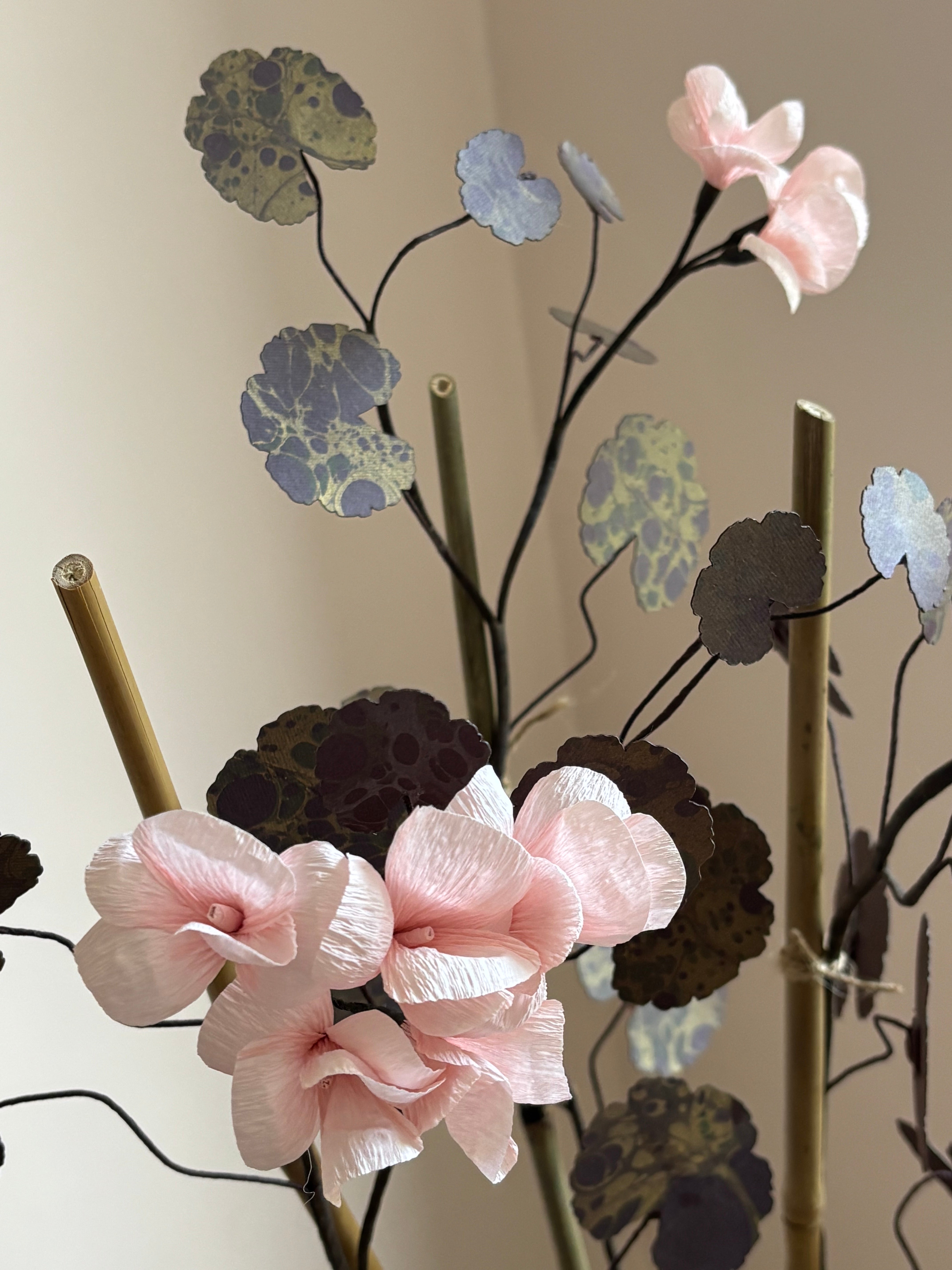 Paper Geranium