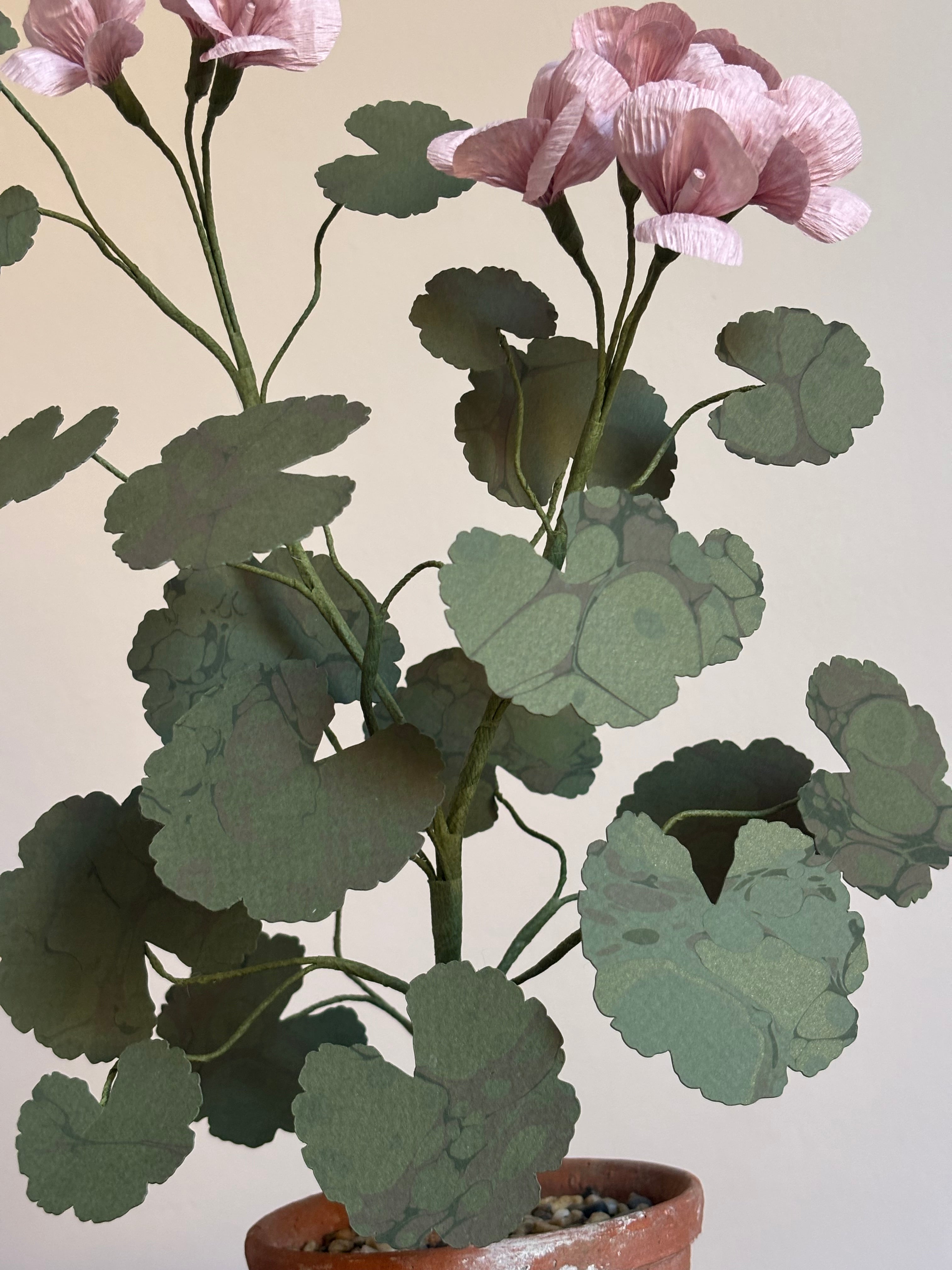 Paper Geranium
