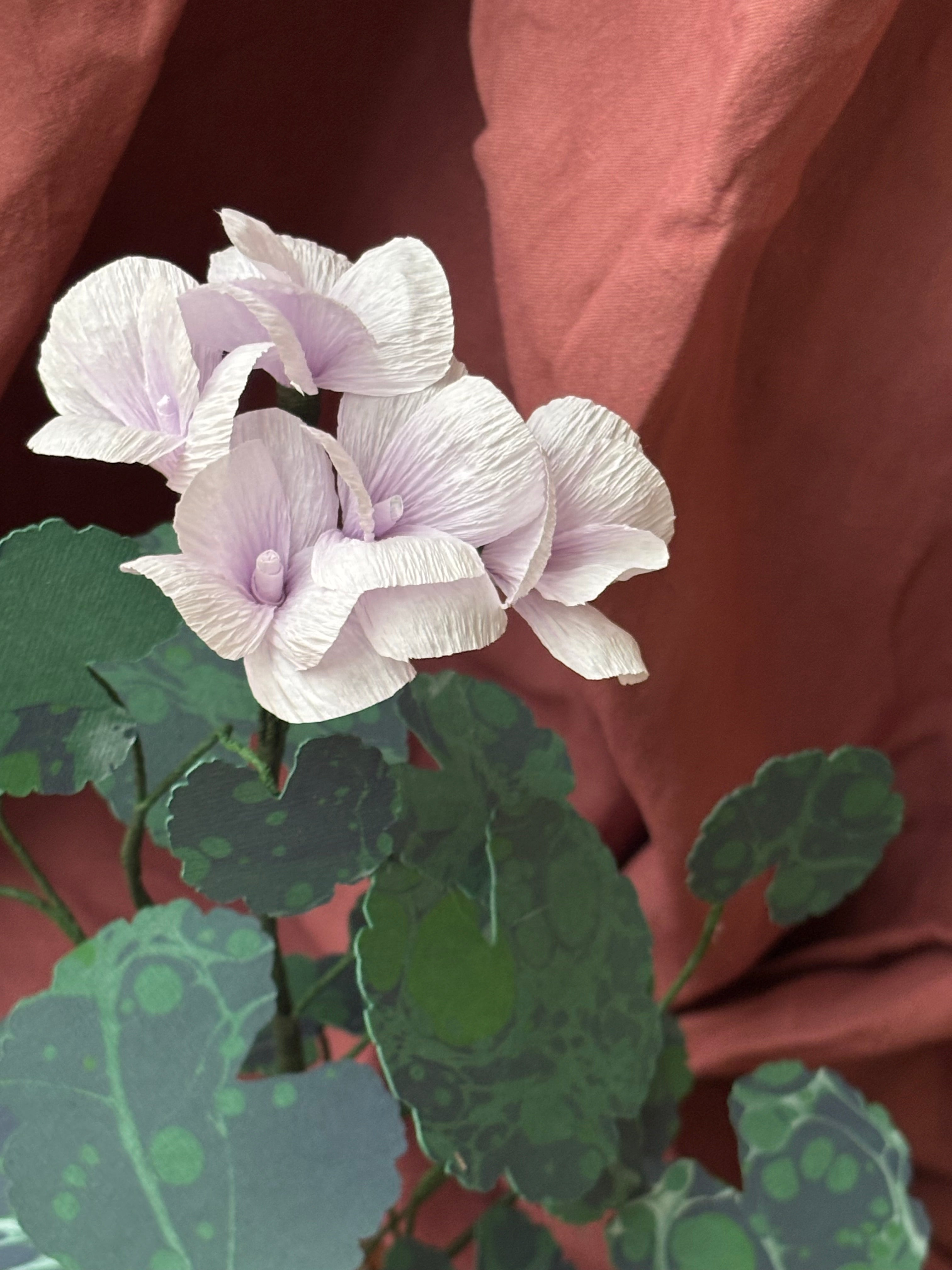 Paper Geranium